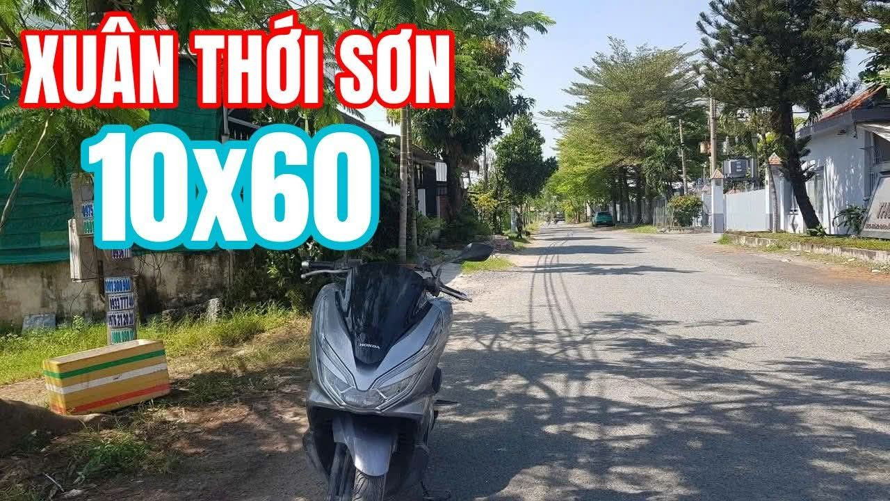 🛑 ĐẤTLỚN.COM giới thiệu Bán đất vườn 600m² mặt tiền Trương Thị Như - Xuân Thới Sơn HÓc Môn thông Nguyễn Thị Thử, Nguyễn Văn Bứa