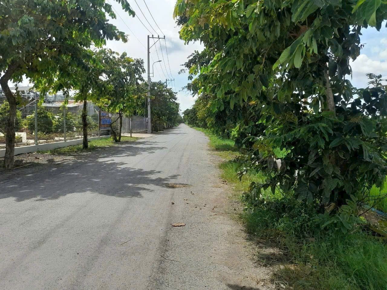 Bán đất vườn mặt tiền nhựa đường Trương Thị Như xã Xuân Thới Sơn huyện Hóc Môn TPHCM, DT: 19500m2.