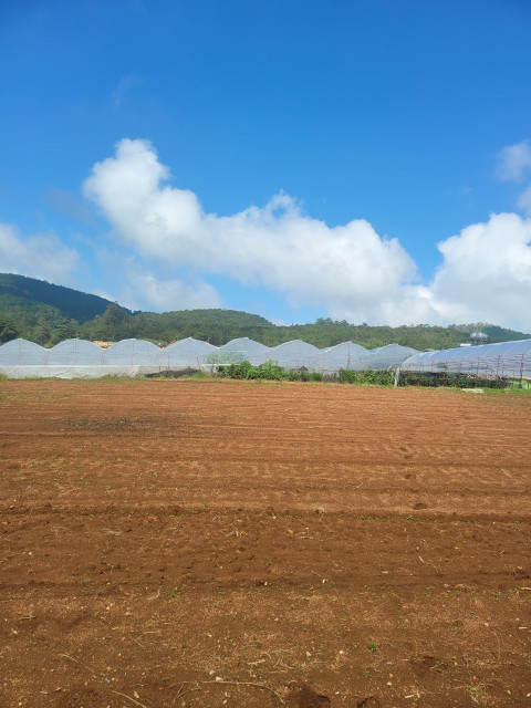 Bán  đất nông nghiệp 9300m² , giá 190 tỷ tại đường Vạn Thành, Phường 5, Thành phố Đà Lạt, Lâm Đồng