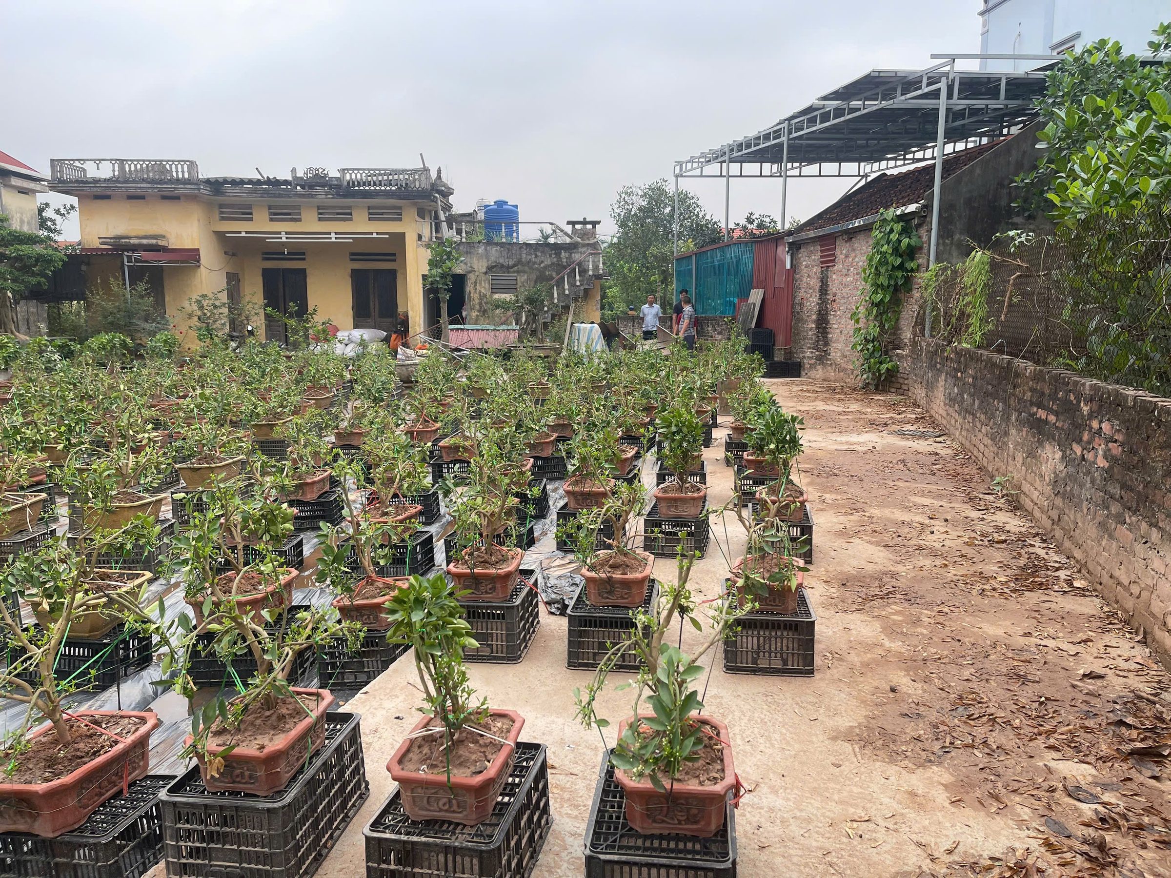 BÁN ĐẤT 45M2 FULL THỔ CƯ NGANG 4,4M QUÁN TRẠCH VĂN GIANG 1,75TỶ CÓ THƯƠNG LƯỢNG CHO KHÁCH THIỆN TRÍ MUA