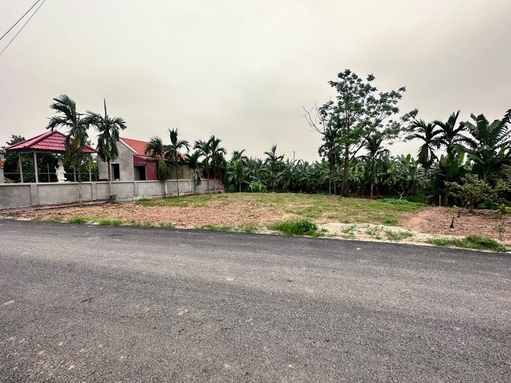 DIỆN TÍCH RỘNG - FULL THỔ CƯ- Ô TÔ TRÁNH THÔNG- GIÁ ĐẦU TƯ- HIẾM - ĐẤT CỦA DÂN- PHÂN LÔ KHÔNG MẤT ĐƯỜNG- XÂY BIỆT THỰ Ở SƯỚNG