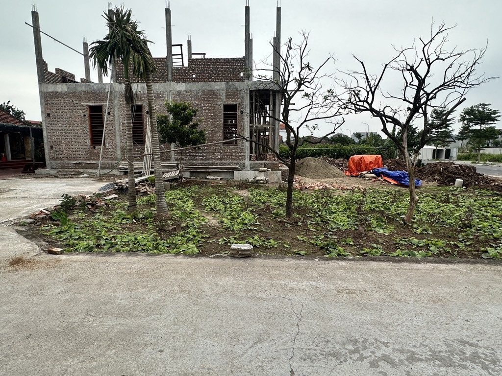 BÁN ĐẤT 60M2 FULL THỔ CƯ NGANG 6M XÃ TÂN DÂN TRIỆU VIỆT VƯƠNG GIÁ 2,5TỶ