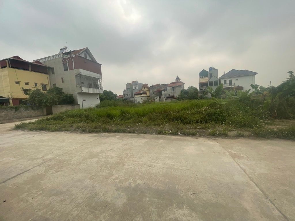 BÁN ĐẤT 146,5M2 FULL THỔ CƯ NGANG 11,5M VĨNH XÁ KIM ĐỘNG 2,9TỶ