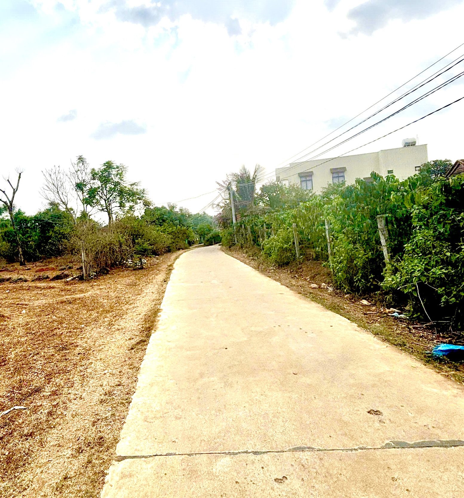 🌍ĐẤT MẶT TIỀN VÕ DUY DƯƠNG