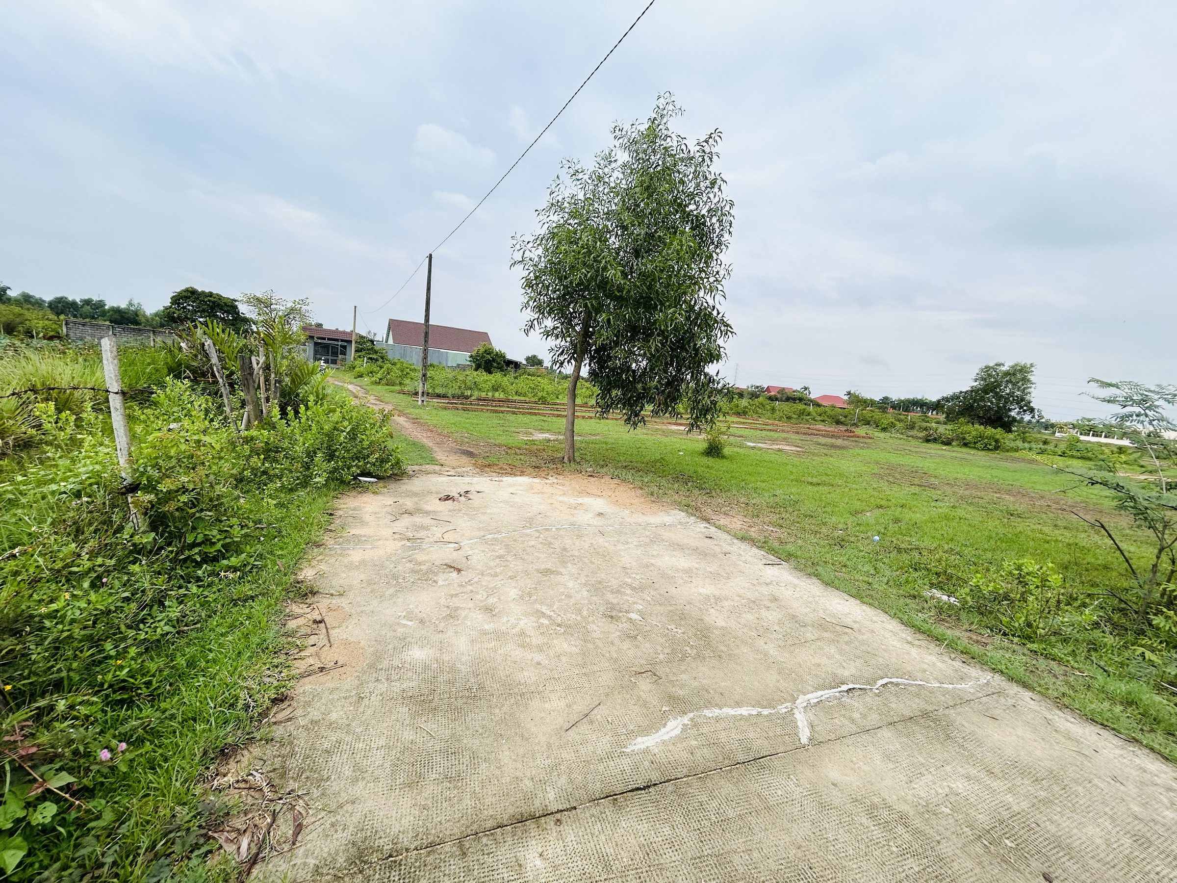 Đất nhà vườn Nhơn Trạch - Đồng Nai / Diện tích 1.876 m2 đã có 786m2 đất thổ cư