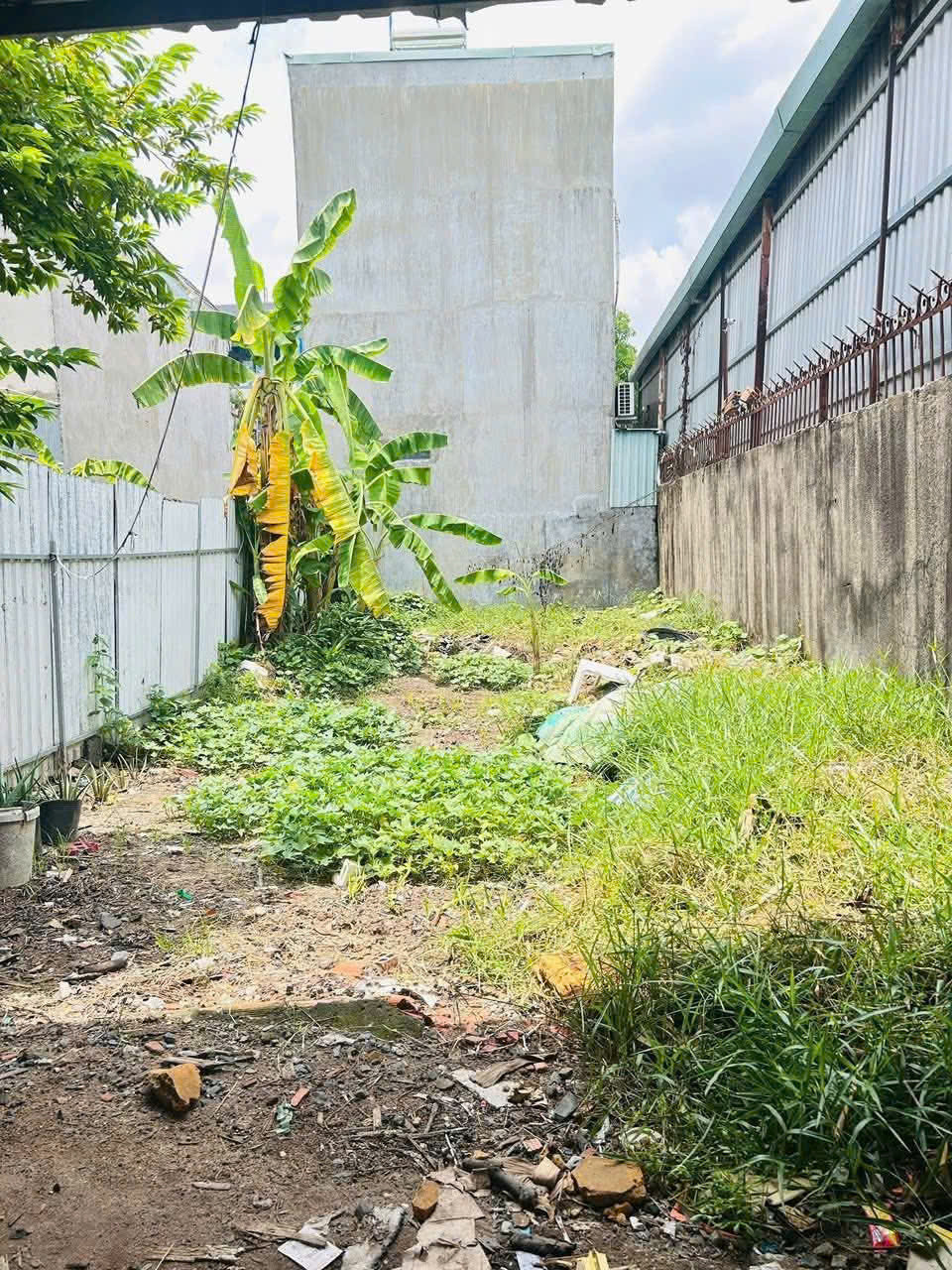bán lô đất Võ Thị Thừa An Phú Đông Quận 12 DT 5x25m, sổ riêng thổ cư 100%, hẻm xe hơi,