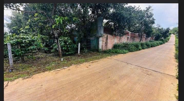 BÁN 2 LÔ ĐẤT LIỀN KỀ – TỔNG DT 1600m² – 400m² THỔ CƯ – ĐƯỜNG BÊ TÔNG 6M