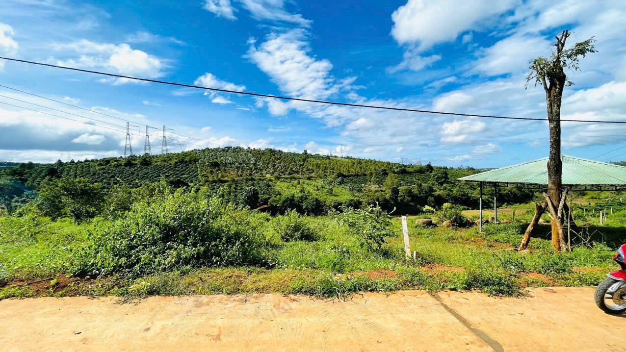 🏡 Đất 2,4 sào Ia Kênh – view cánh đồng cực chill