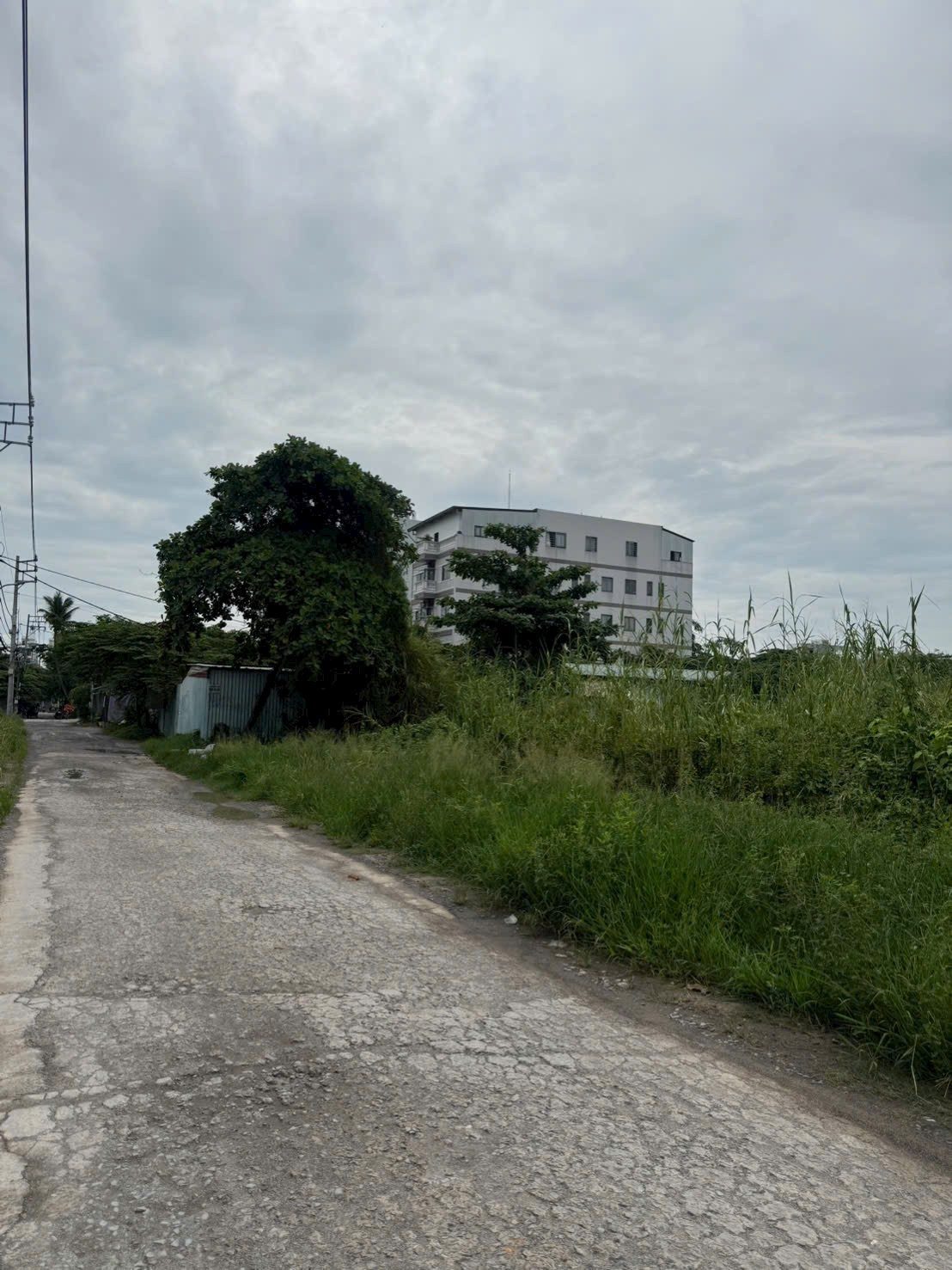 SẴN PHƯƠNG ÁN 25 NỀN – 3.280M² ĐẤT FULL THỔ CƯ AN PHÚ ĐÔNG Q12 – GIÁ ĐẦU TƯ 165 TỶ