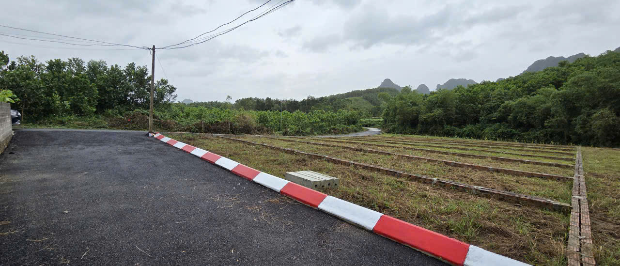 CHỈ CẦN 215tr tậu ngay đất AN BÌNH (77), HÒA BÌNH. SỔ HỒNG sang tên trong ngày.