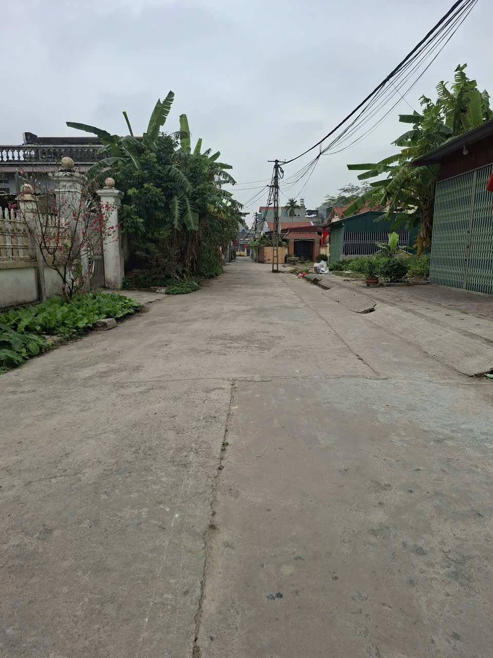 Đất nền ven khu công nghiệp Lai Cách