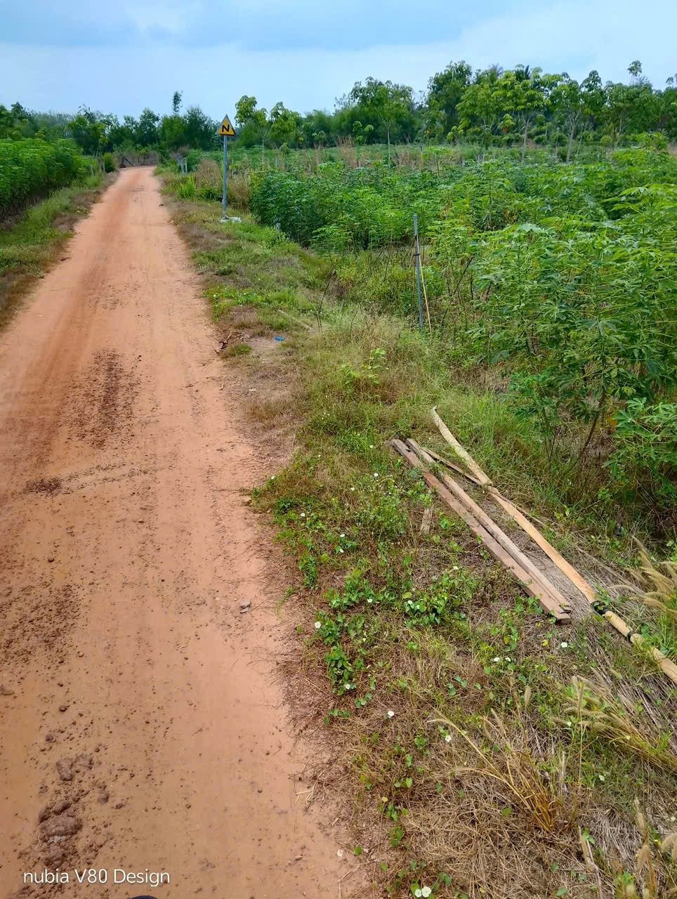 Cần bán bán 2 công đất xã chà là cũ, nay là phường Ninh Thạnh, Tây Ninh 
Đất phủ hồng bao lên 200m2 thổ