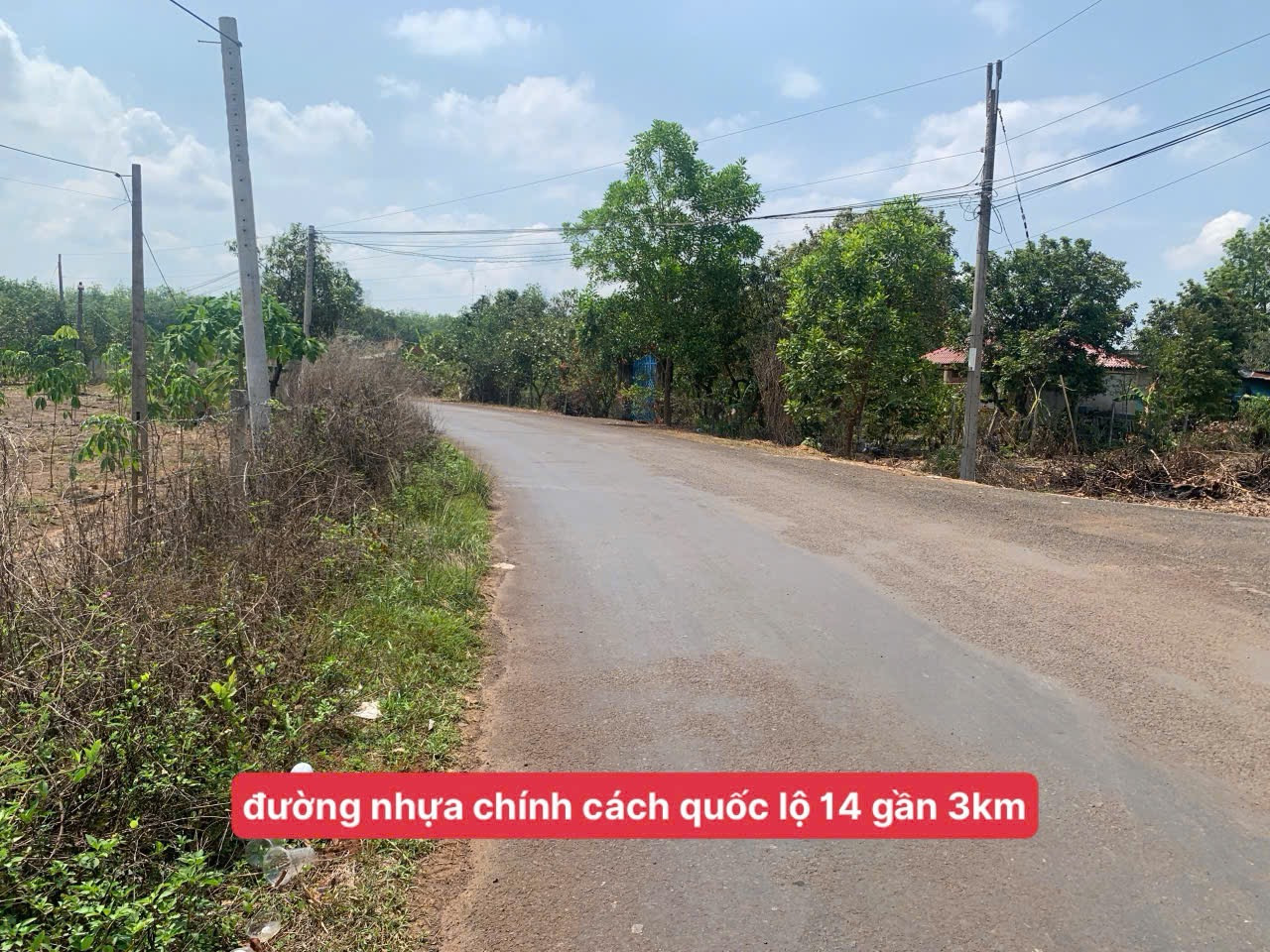 Ngộp bank 10x26x100tc chỉ 230tr