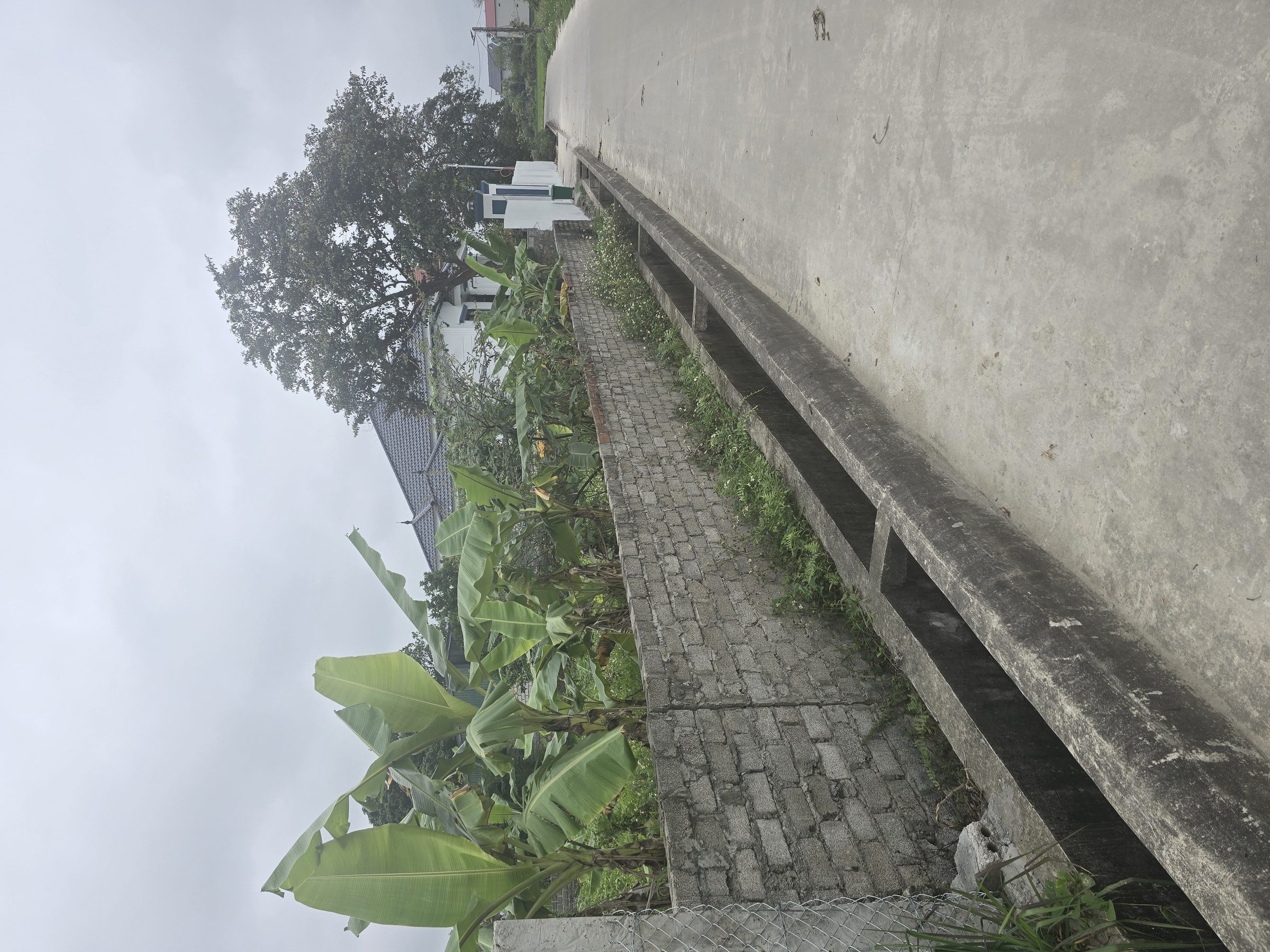 Bán đất