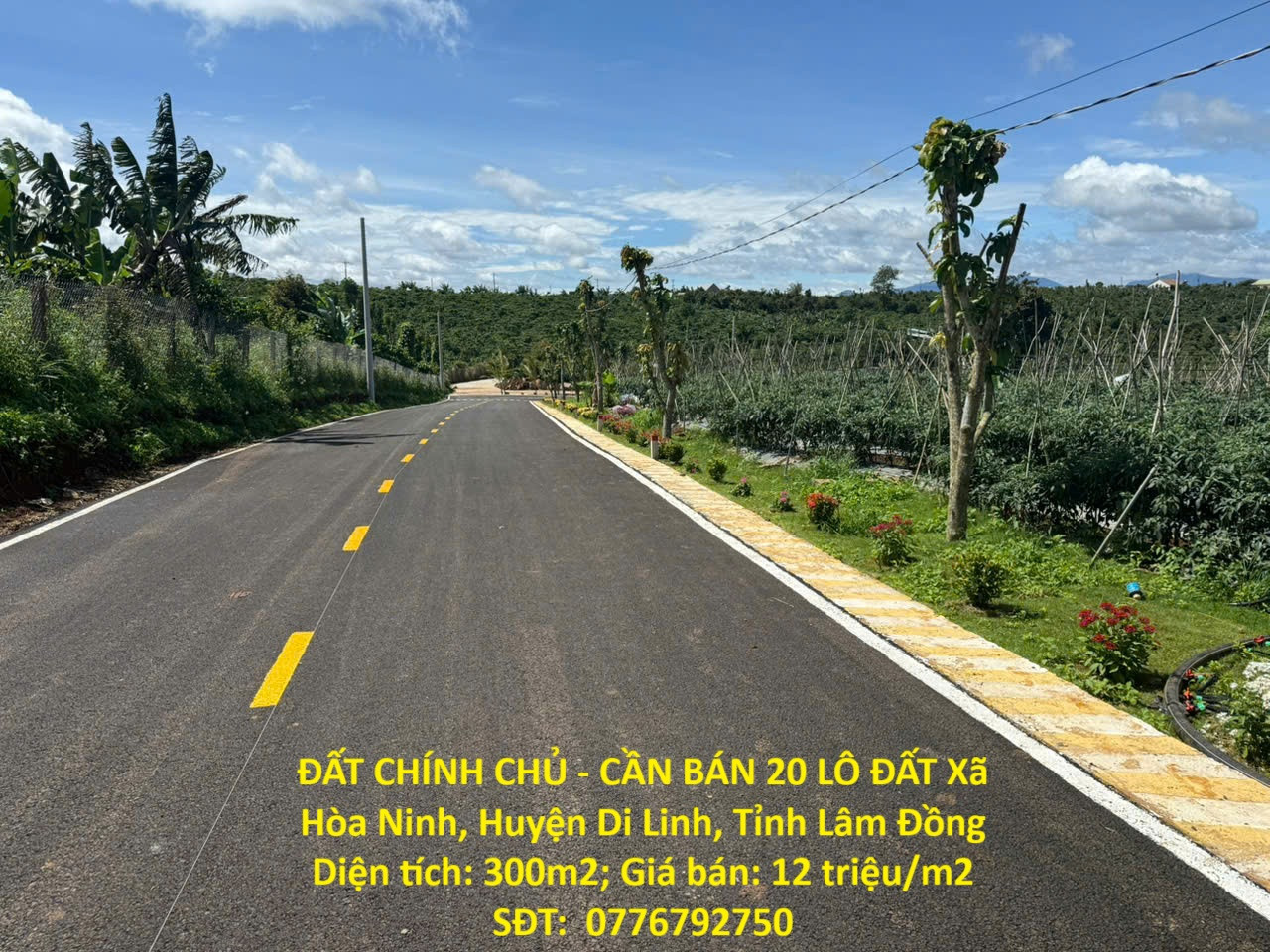 ĐẤT CHÍNH CHỦ - CẦN BÁN 20 LÔ ĐẤT Xã Hòa Ninh, Huyện Di Linh, Tỉnh Lâm Đồng