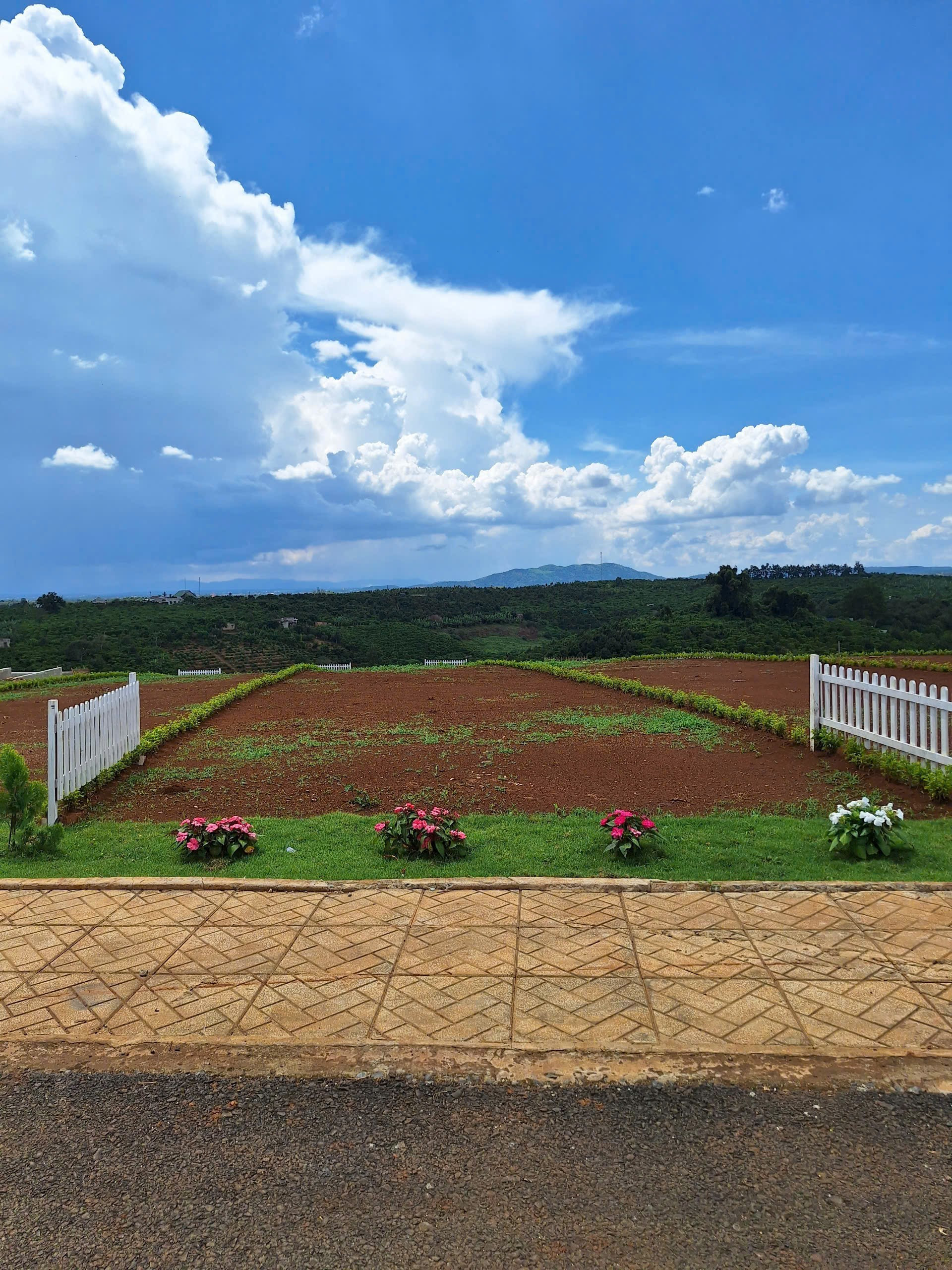 ĐẤT DI LINH FULL THỔ SHR SANG TÊN NGAY