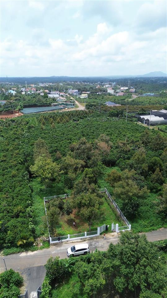 BÁN ĐẤT NGHỈ DƯỠNG – ĐẦU TƯ SINH LỜI TẠI Bảo Lâm, Lâm Đồng
 • Tổng diện tích: 390 m²
 • Trong đó: 390 m² đất thổ cư
 • Giá bán:  4tỷ
 • Giá bình quân: chỉ ~9 triệu/m² (rất tốt so với khu vực)

Hiện trạng:
 • Đã bao gồm nhà ở và khu công trình sẵn c