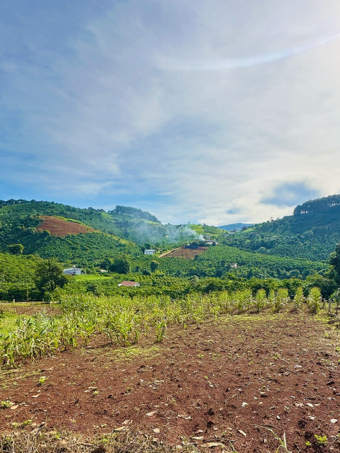 Đất nghỉ dưỡng Mê Linh cách Đà Lạt 20km view đồi thông bao quanh giả chỉ 680 triệu