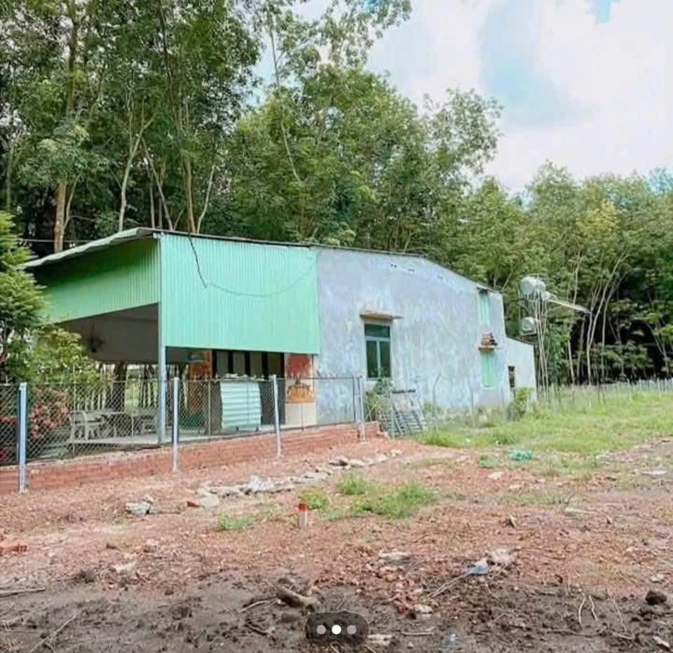 500m sẵn 100mtc ngay sau kcn minh hưng 3 (10x50)