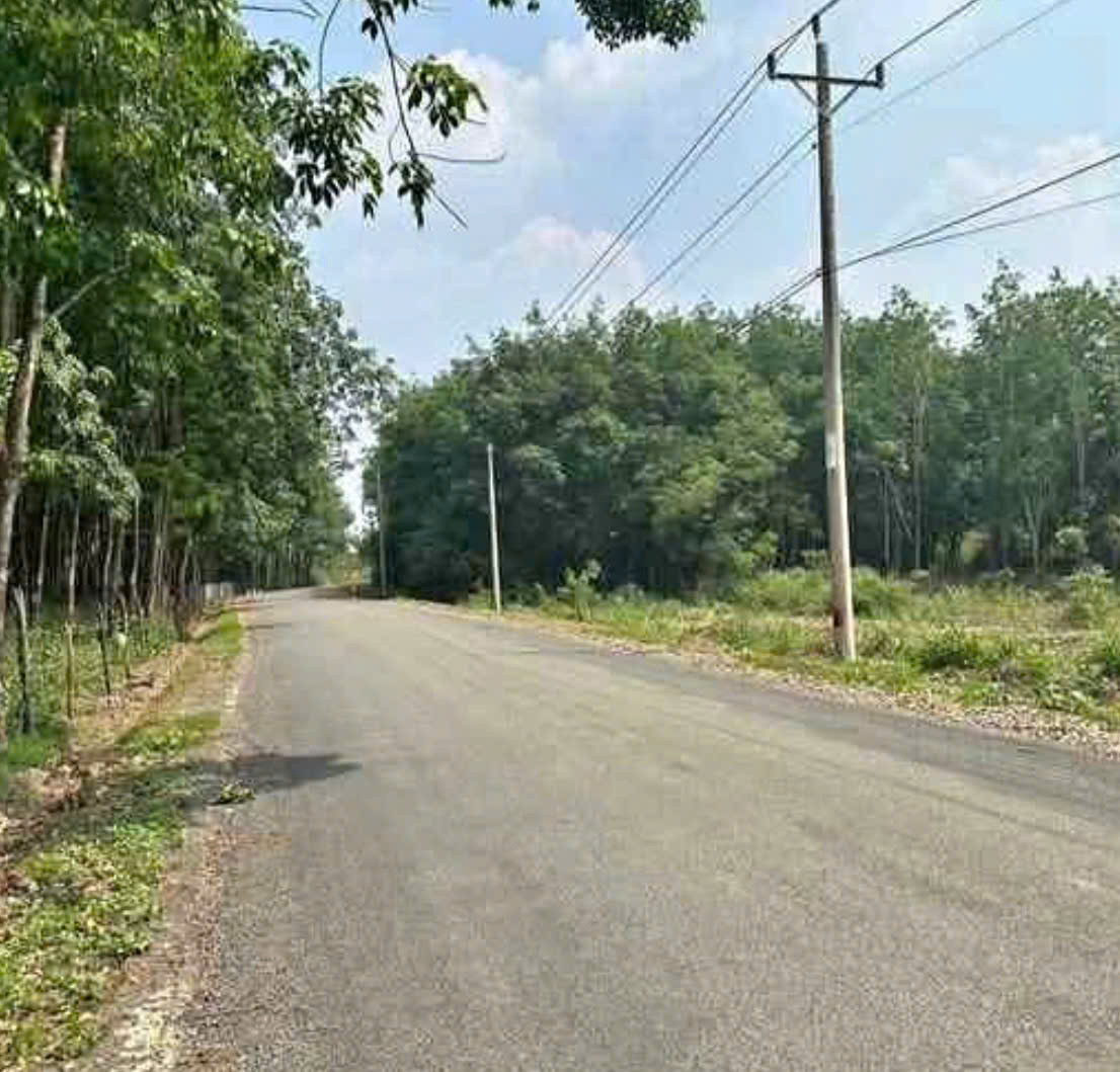 Bán Đất 1000m² giá 350 triệu tại Đường Xã Minh Thành Xã Minh Thành Thị xã Chơn Thành Bình Phước