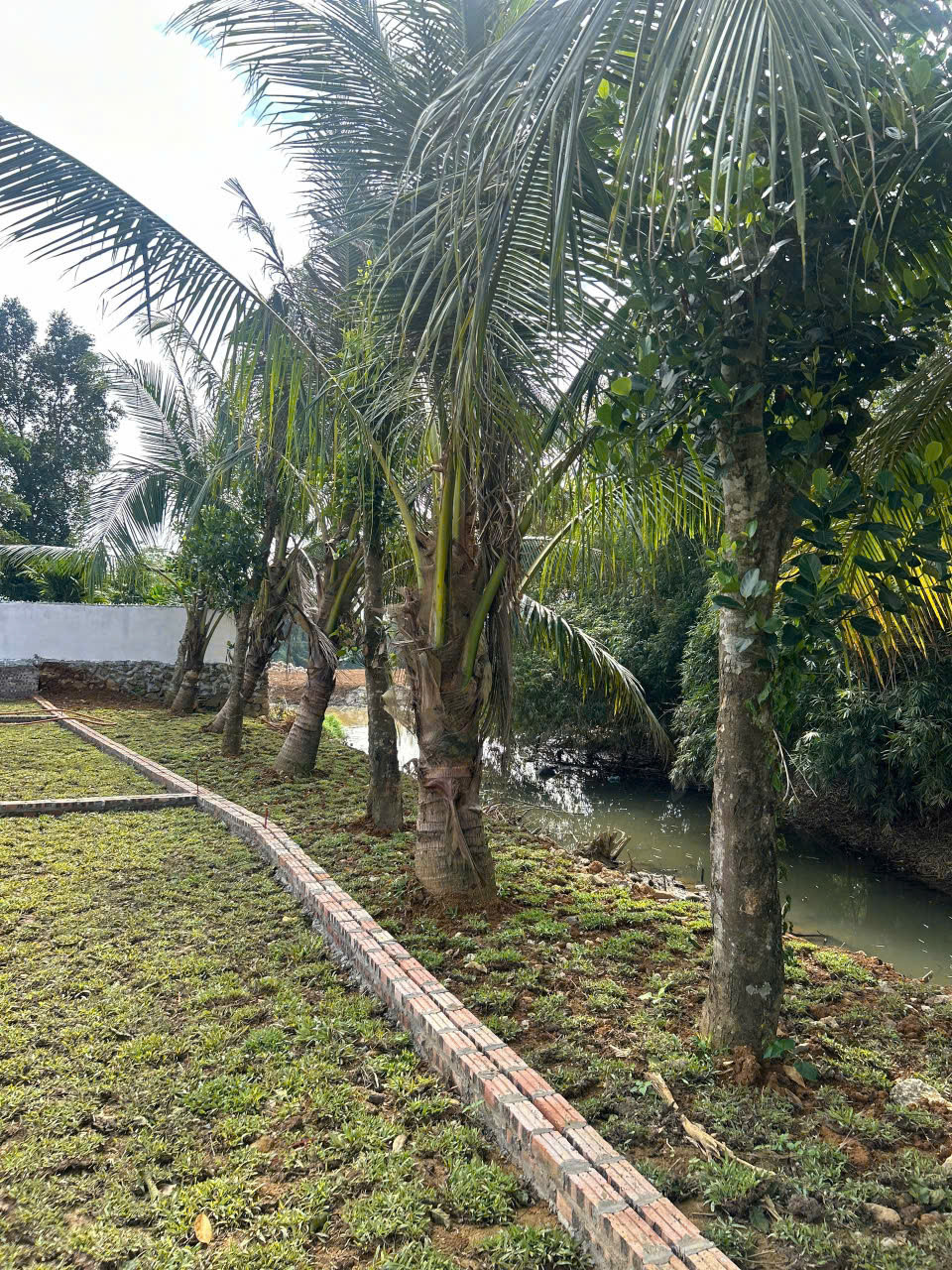 🌿 BẮT ĐÚNG NHỊP MUA – NẮM TRỌN DƯ ĐỊA TĂNG GIÁ
💰 Cơ hội sở hữu đất ở Kim Bôi chỉ từ 300 triệu