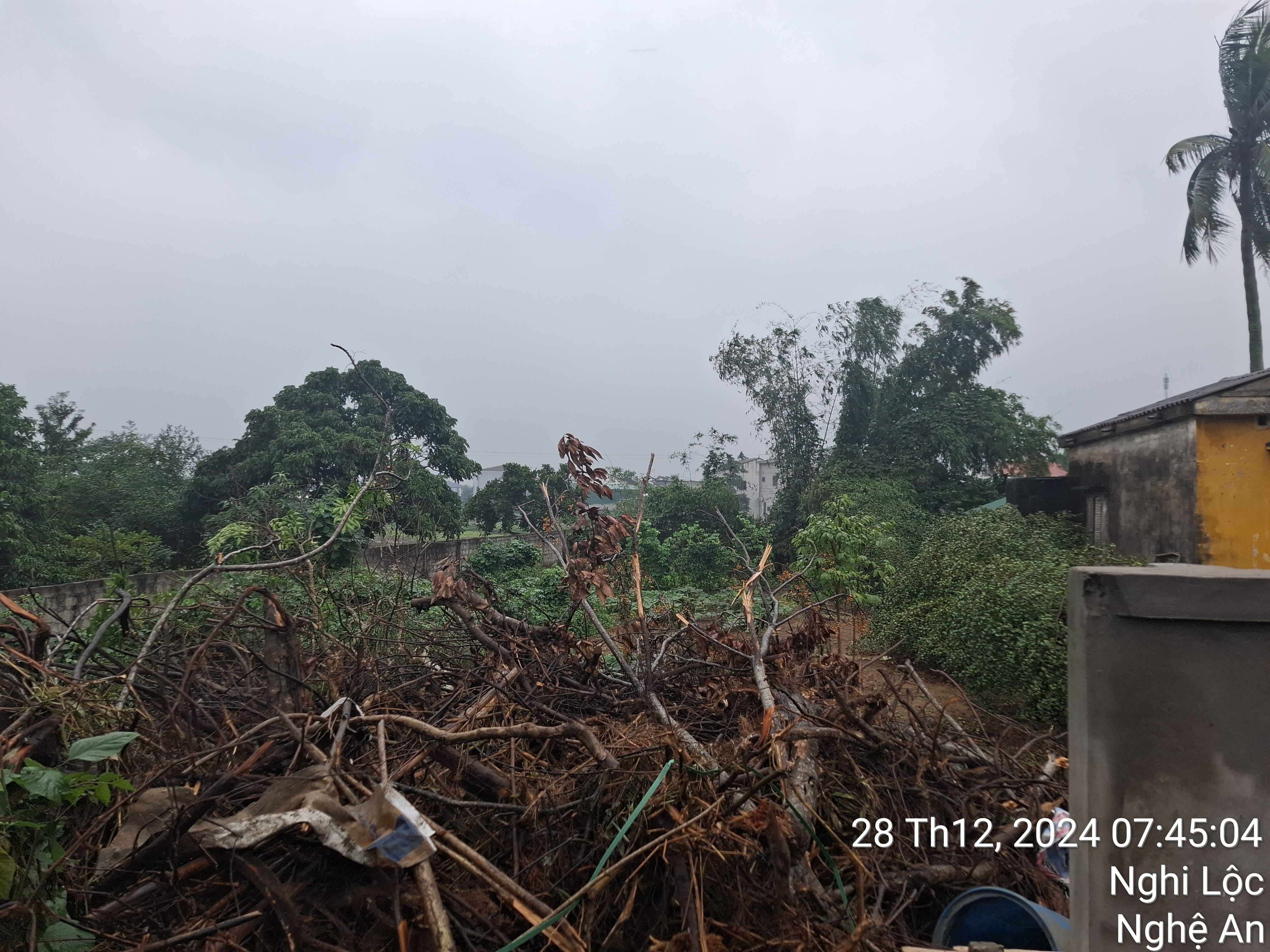 Bán đất 285m² ngang 8m giá 7.8 tỷ Phường Vinh Lộc