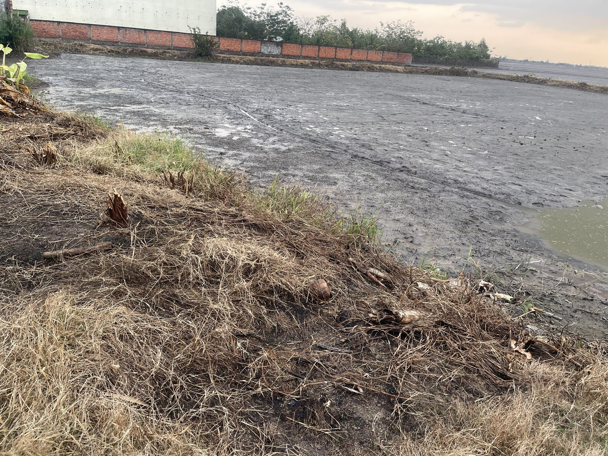 Bán đất giá rẻ