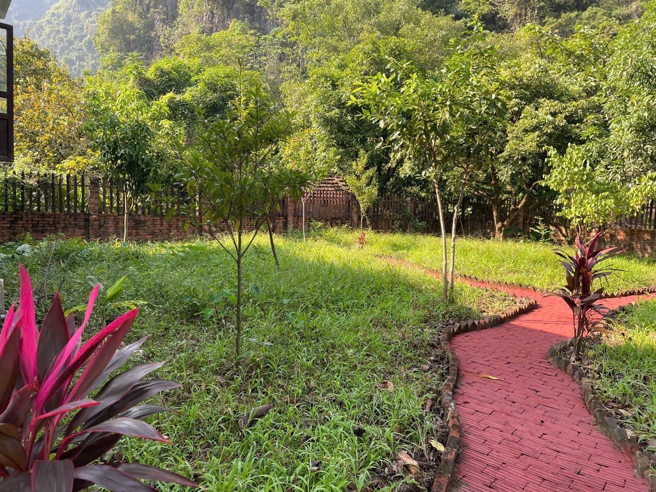 Cần bán gấp có 1.350m2 đất Homestay hồ Thác Bà - Yên Bái 1tỷ150