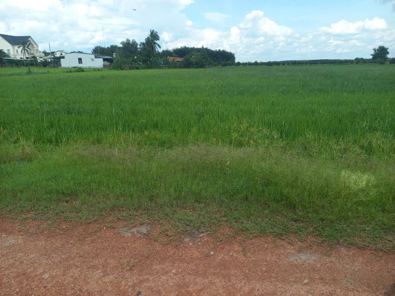 Bán bđs
