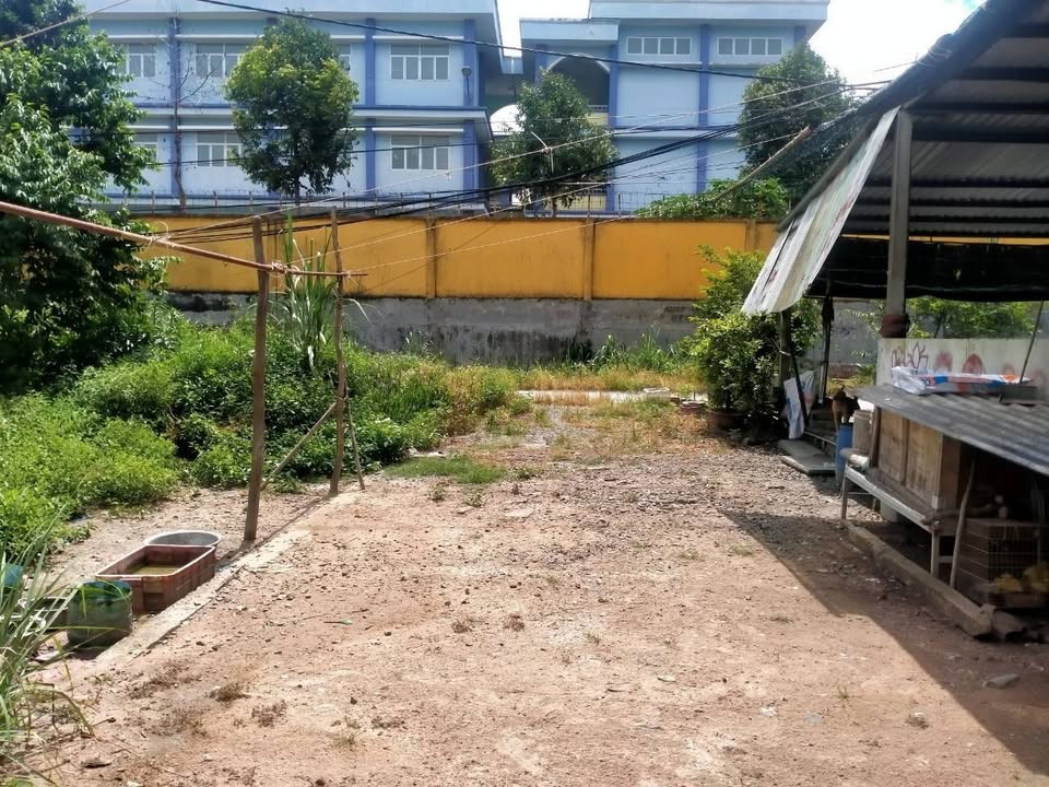 BÁN LÔ ĐẤT ĐẸP 85M2 -GIÁ 1 TỶ 2500 - TÂN THẠNH ĐÔNG - GIÁ ĐẦU TƯ