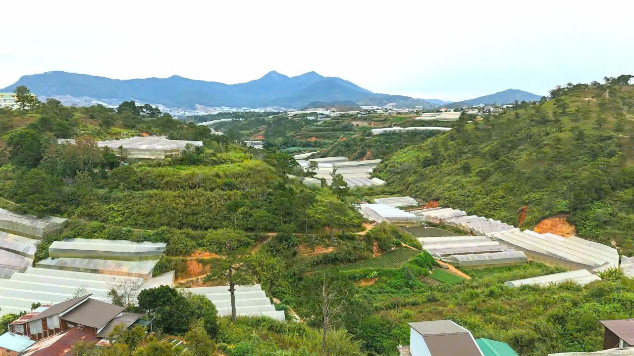 Bán đất view đồi thông khu dân cư trung tâm gần ngã Sân Vận Động Đà Lạt