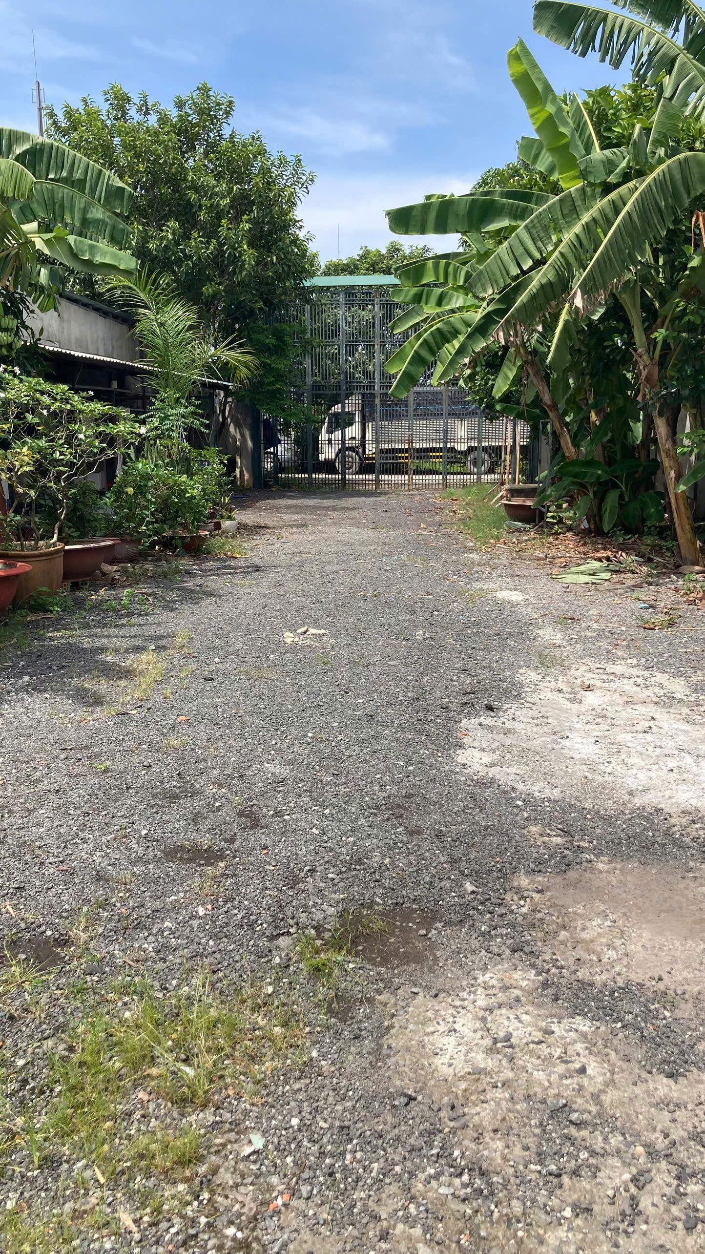 Bán đất 1500m² có sẵn 180m² thổ cư ngang 11m giá 17 tỷ tại Đường Xuân Thới Sơn 16 Xã Xuân Thới Sơn Ms323 Ngưng bán