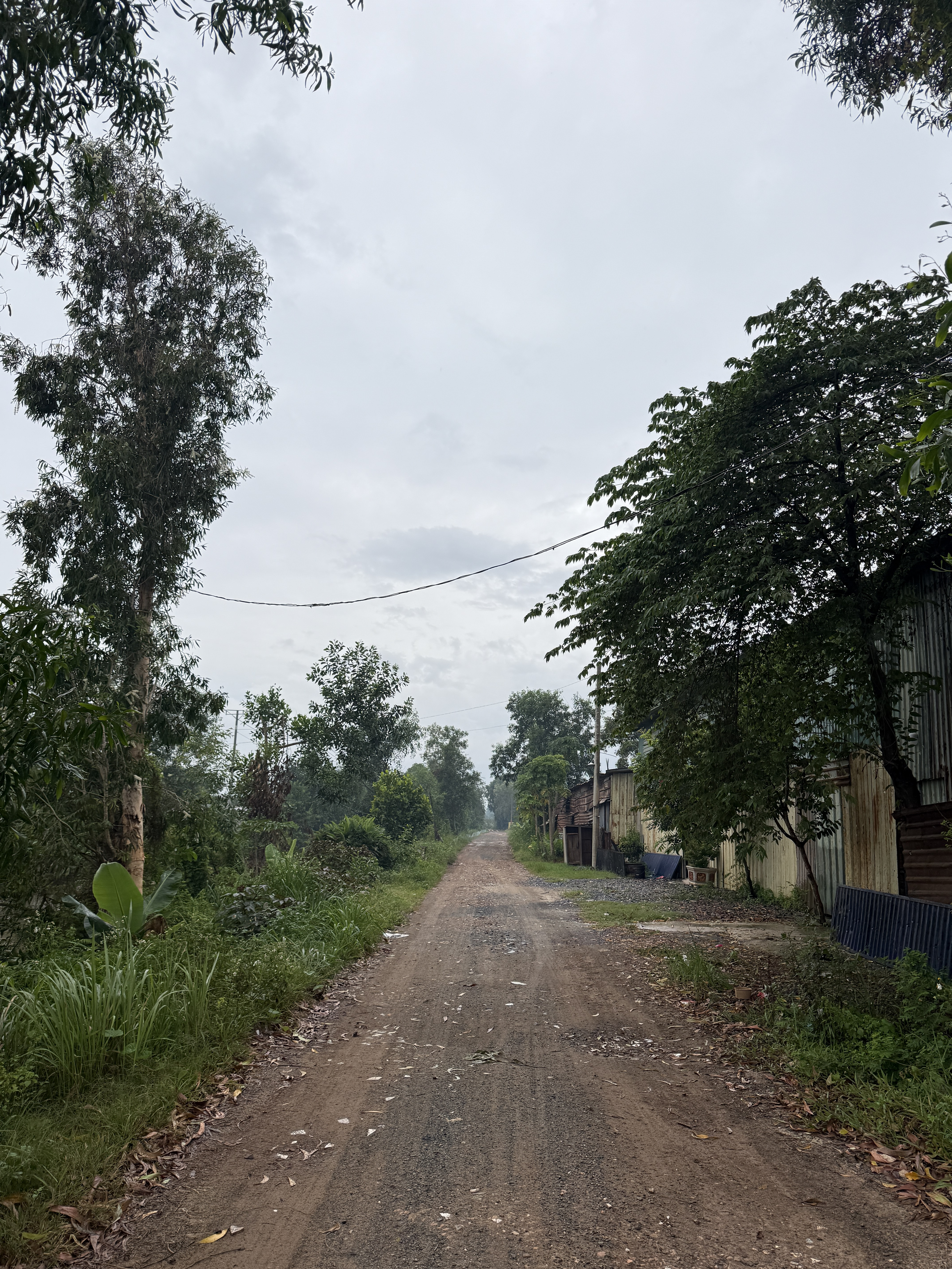 Bán đất 2500m² ngang 24m giá 17.5 tỷ tại Đường Xuân Thới Sơn 5 Xã Xuân Thới Sơn