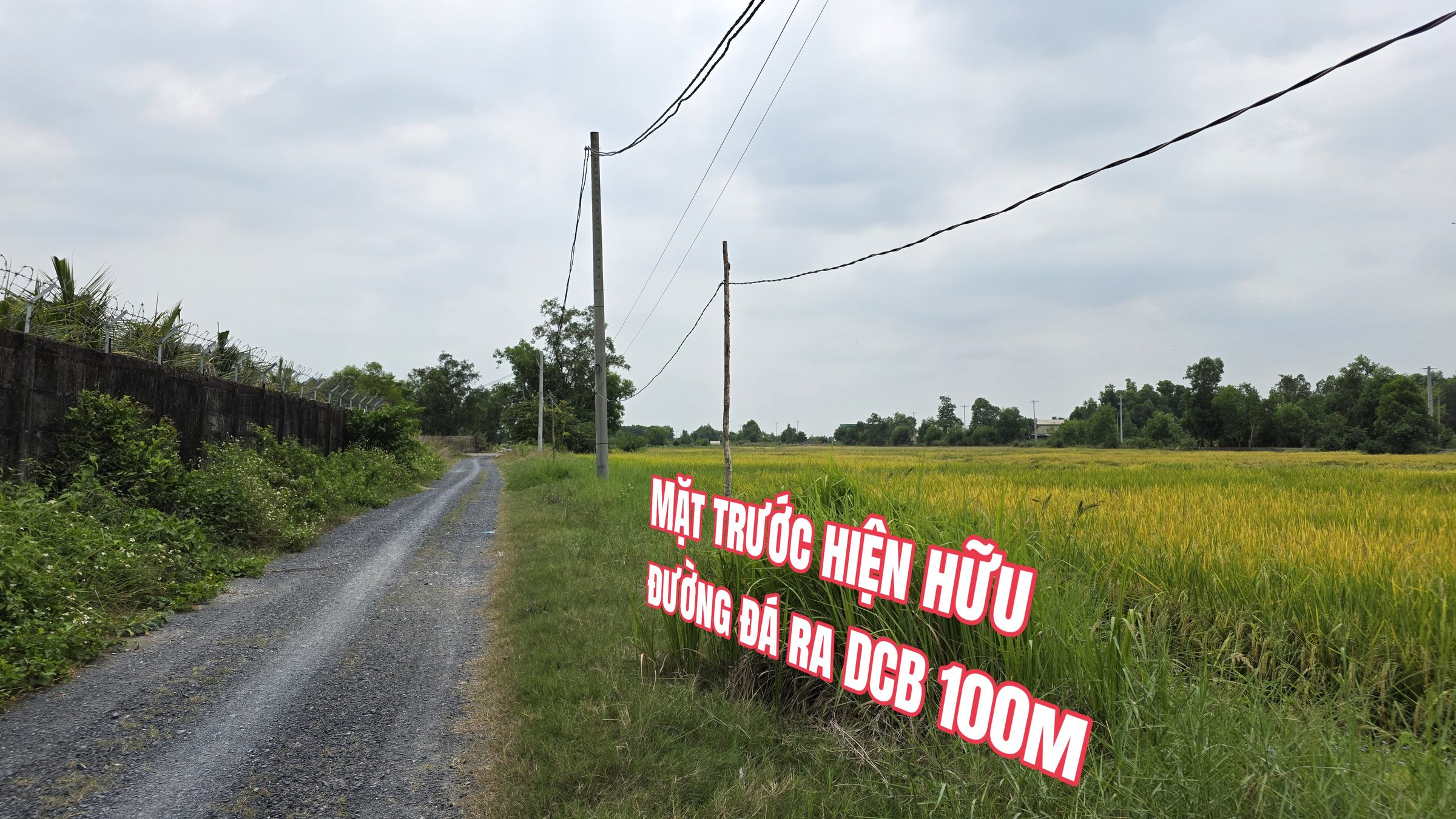 🟥 Đất 10000m² đối diện VinHomes Hóc Môn giá 60 tỷ tại Đặng Công Bỉnh Xuân Thới Sơn