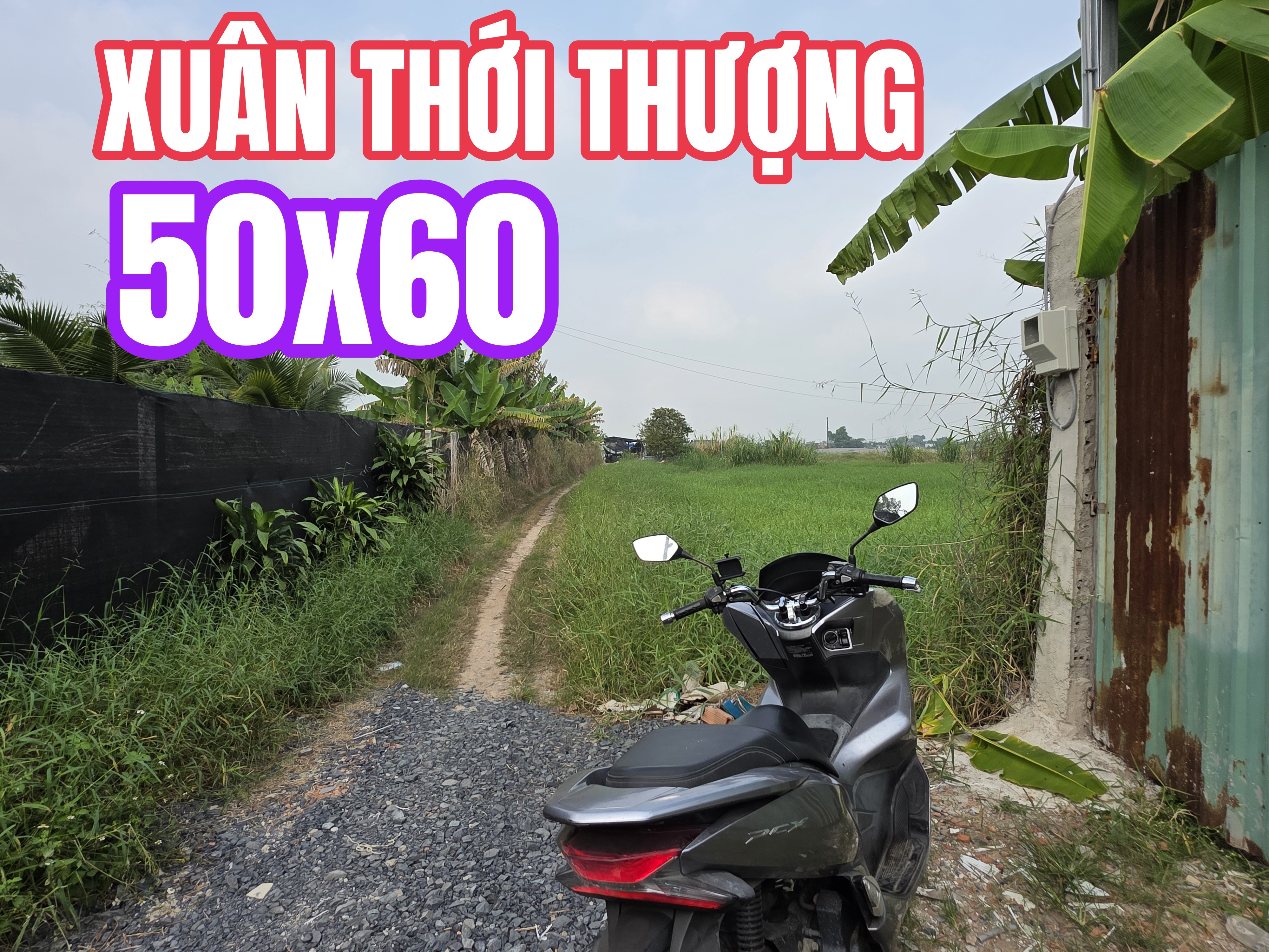 🟥Bán đất 3000m² Xuân Thới Thượng 3 vuông đẹp làm nhà Xã Bà Điểm chỉ 6ty