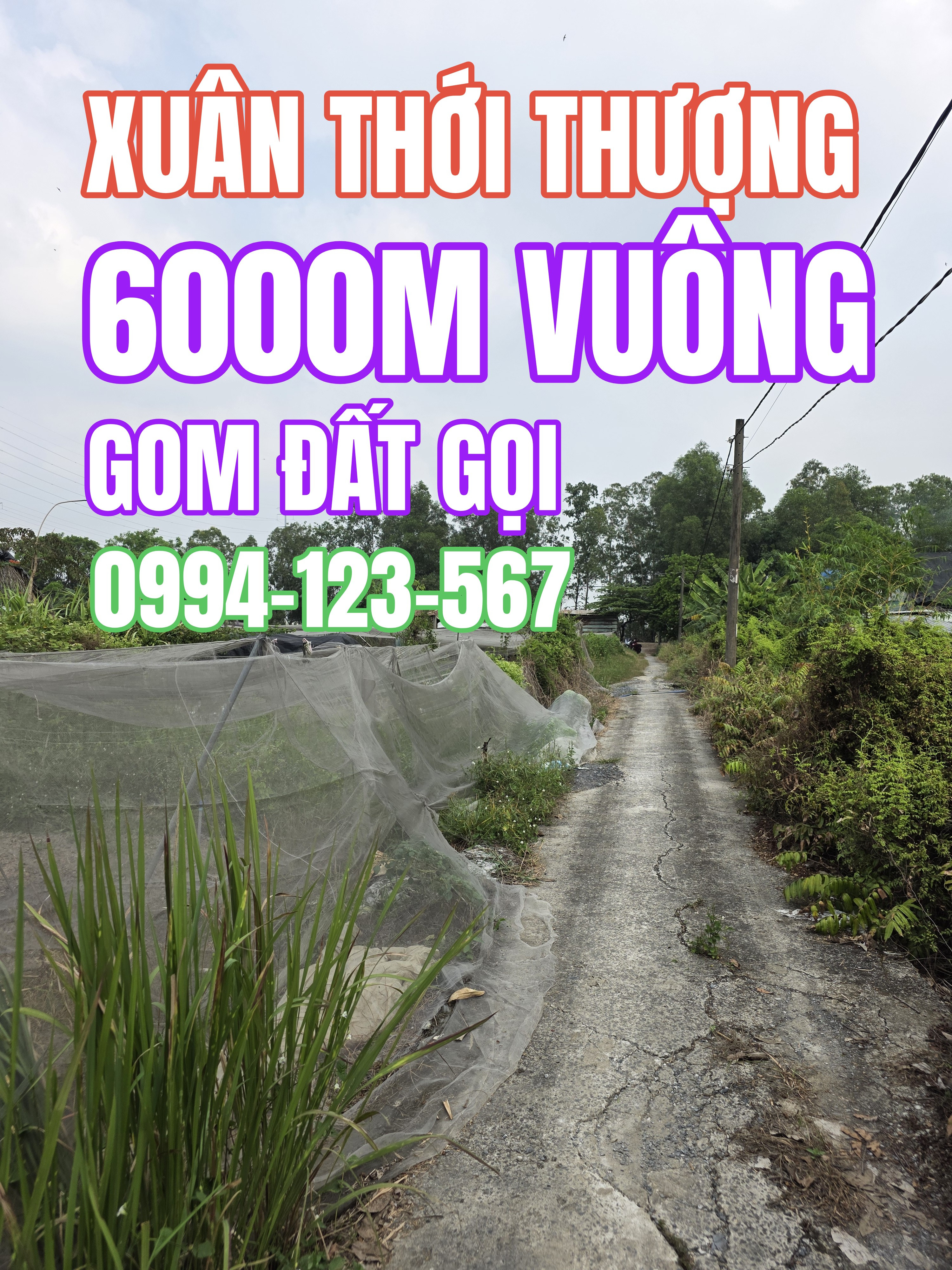 🟥Bán đất 6000m² vuông đẹp đang làm nhà vườn đường beton 2m giá chỉ 12 tỷ Xã Bà Điểm gom ngay gọi 0994 123 567