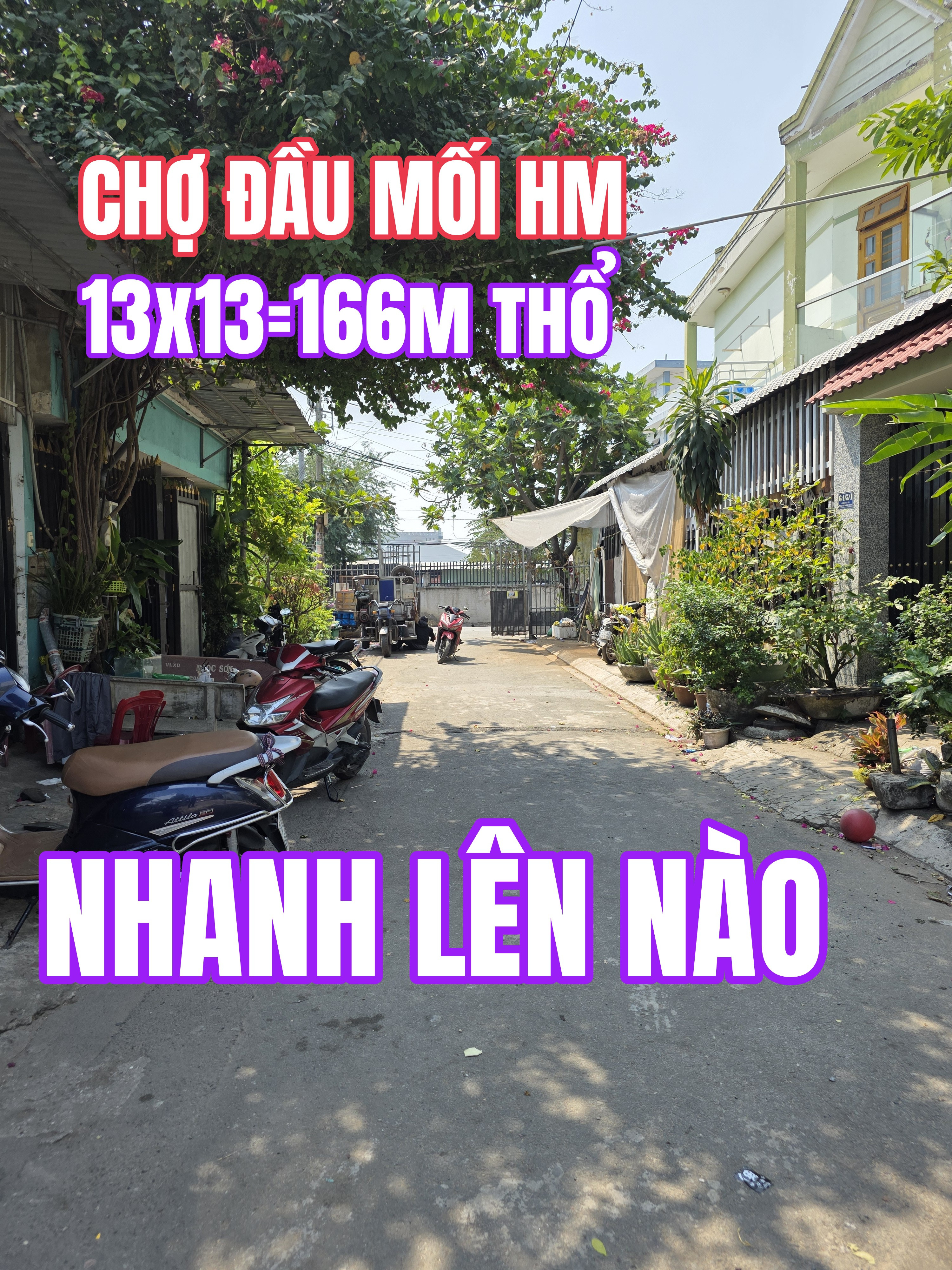 🟥Đất vuông xây 3 căn nhà ok 13mx13m =167m² full thổ cư giá chỉ 5.99 tỷ tại Đường Xuân Thới Thượng gần chợ Đầu Mối Xã Bà Điểm