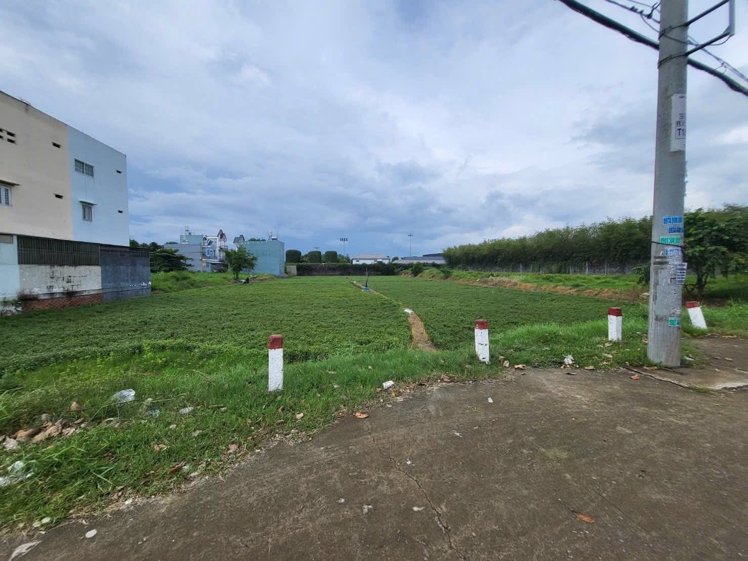 🟥Đất lớn gần 4000m² mặt tiền công viên Cá Koi Rin Tin Park giao đường Kênh Tiêu tại Đường Xuân Thới Thượng 6 tiềm năng cực lớn