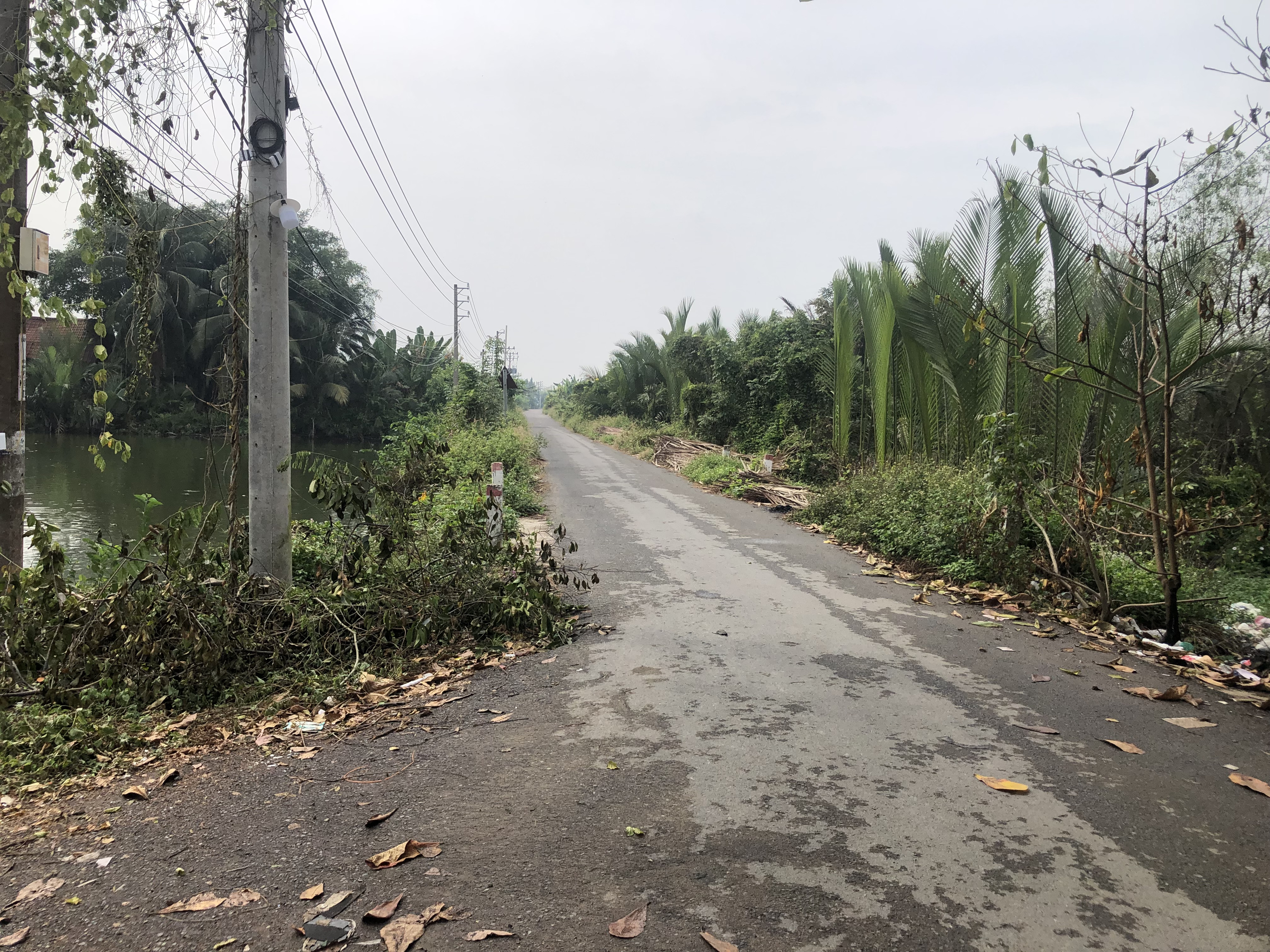 8000m2 đất nông nghiệp mặt tiền đường xương cá 2 giá 2tr/m