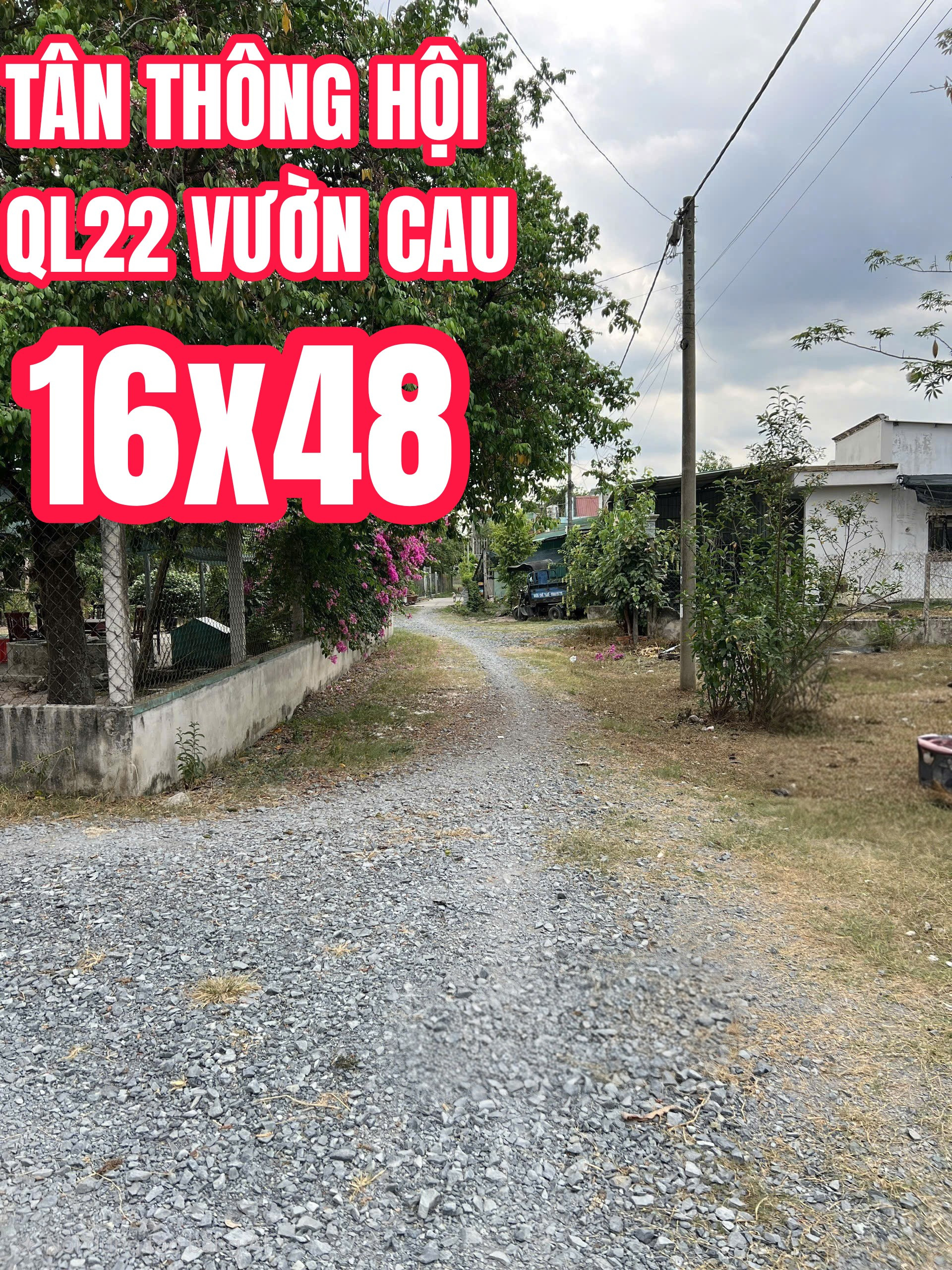 🔴Bán đất Bàu Sim,Tân Thông Hội, Củ Chi 770m² có 300m thổ cư vuông đẹp 16x48 sát QL22 chỉ nhỉnh 6ty