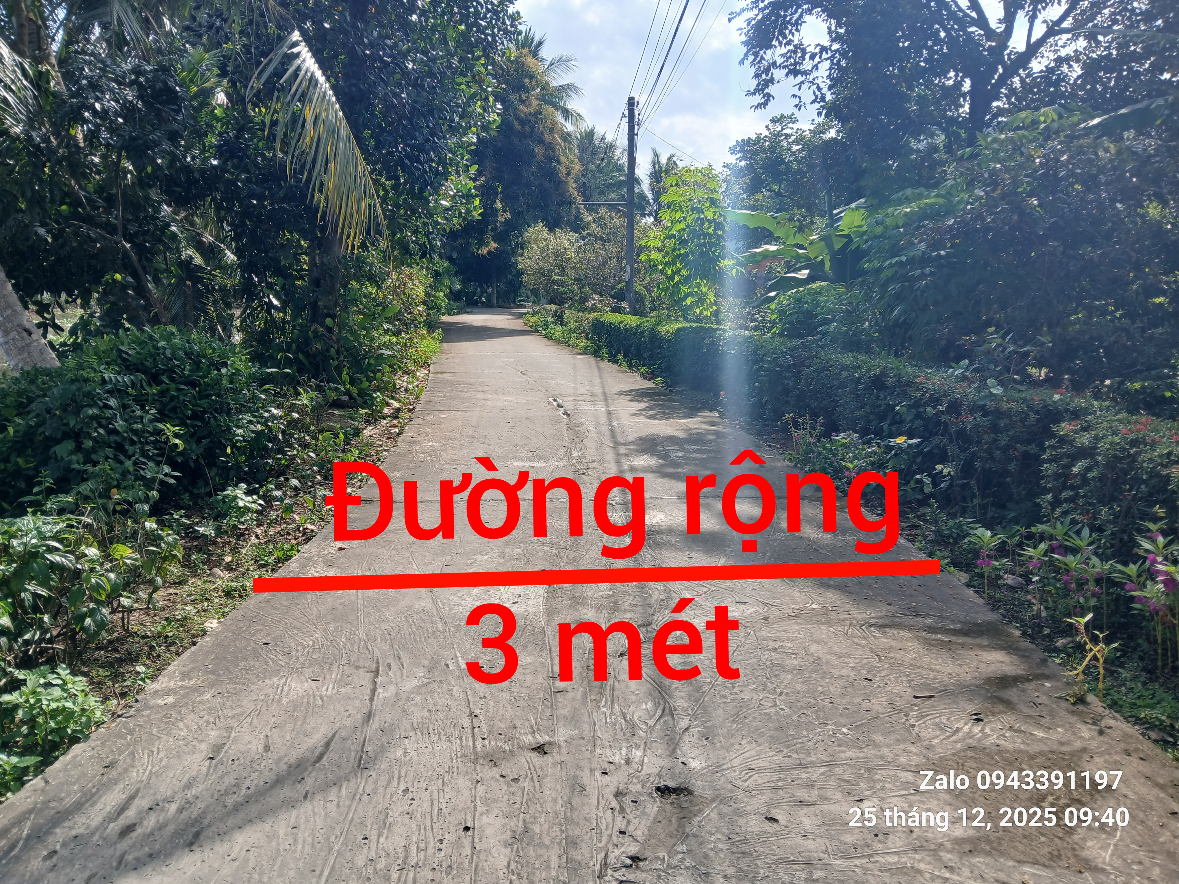 🔥 CẦN BÁN GẤP NỀN THỔ CƯ – GIÁ RẺ 🔥
📍 Vị trí: Ấp Tân Điền – Giục Tượng, xã Châu Thành, tỉnh An Giang
📌 Cách đường Xuyên Á 200m, cách đường Bùi Viện – Rạch Sỏi 300m
🚗 Xe ô tô tới đất
📐 Diện tích: Tổng 215,5m²
Ngang 7m, dài 30m – đất vuông vức, đẹp