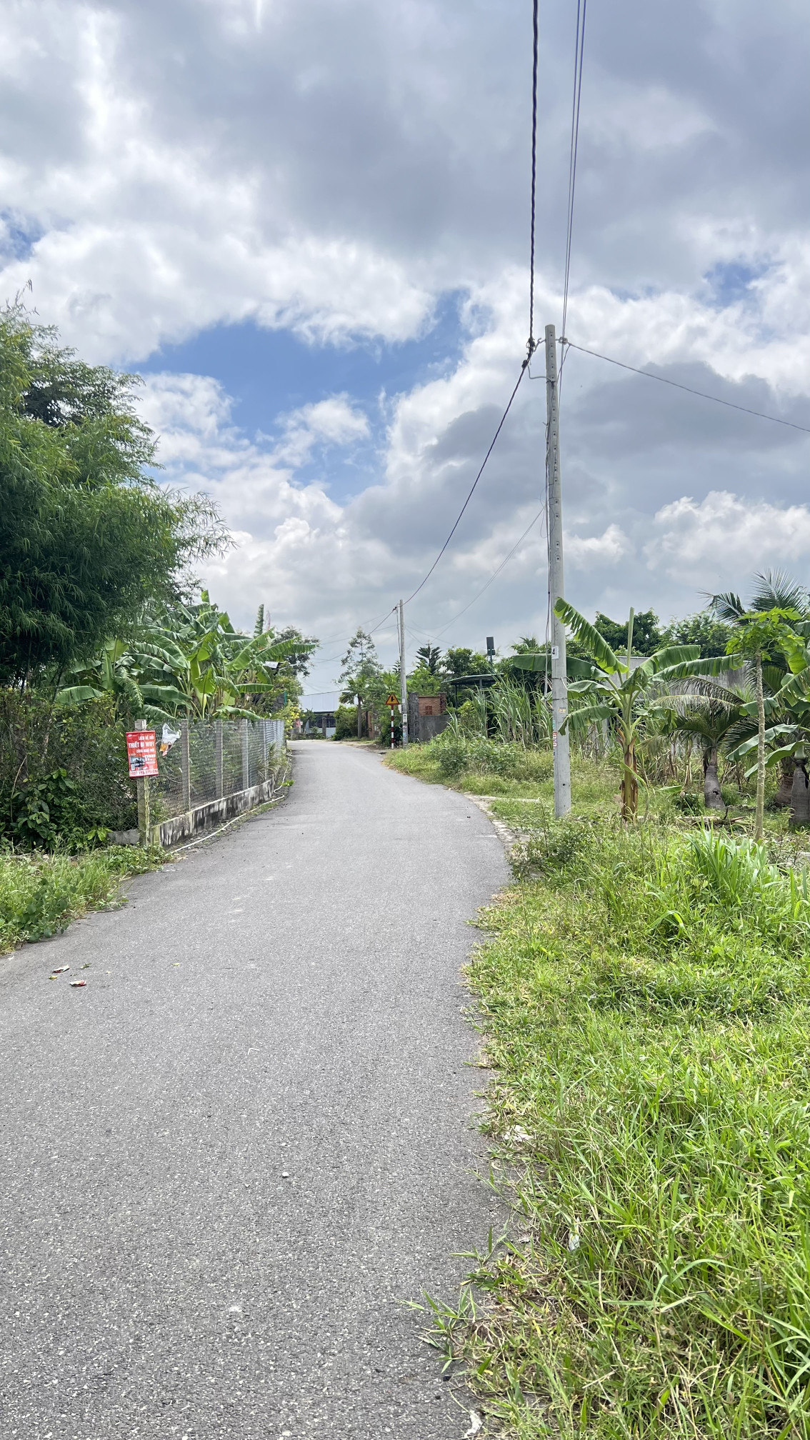 Bán nhà Phước Thuận view cánh đồng tuyệt đẹp. Đất rộng làm nhà vườn