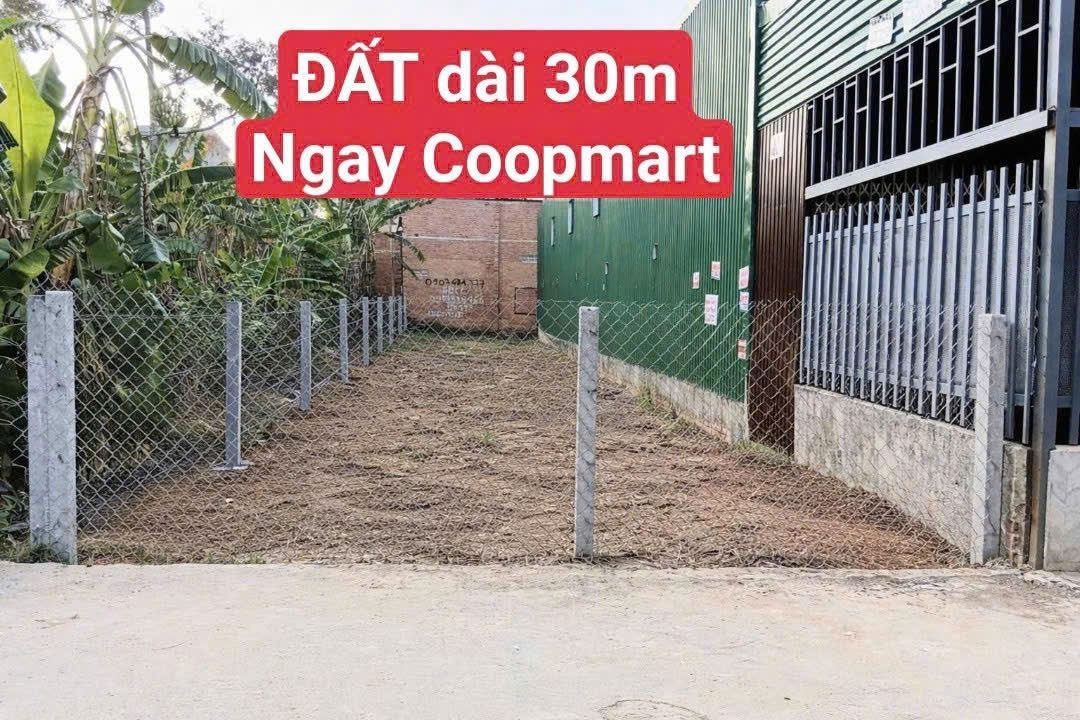 Bán Đất Ngay Coopmart, Hướng Đông Nam, Giá Rẻ