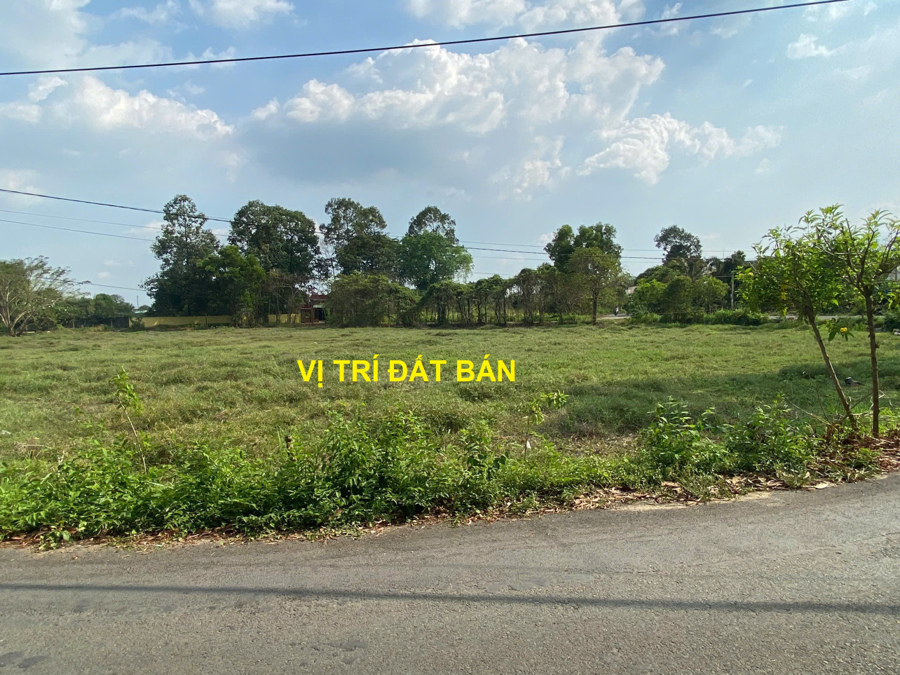 Bán Đất Vườn Mặt Tiền Đường Số 24, Tân Thông Hội, Củ Chi - Gần Quốc Lộ 22 - 5981m² - Giá 14.9 Tỷ