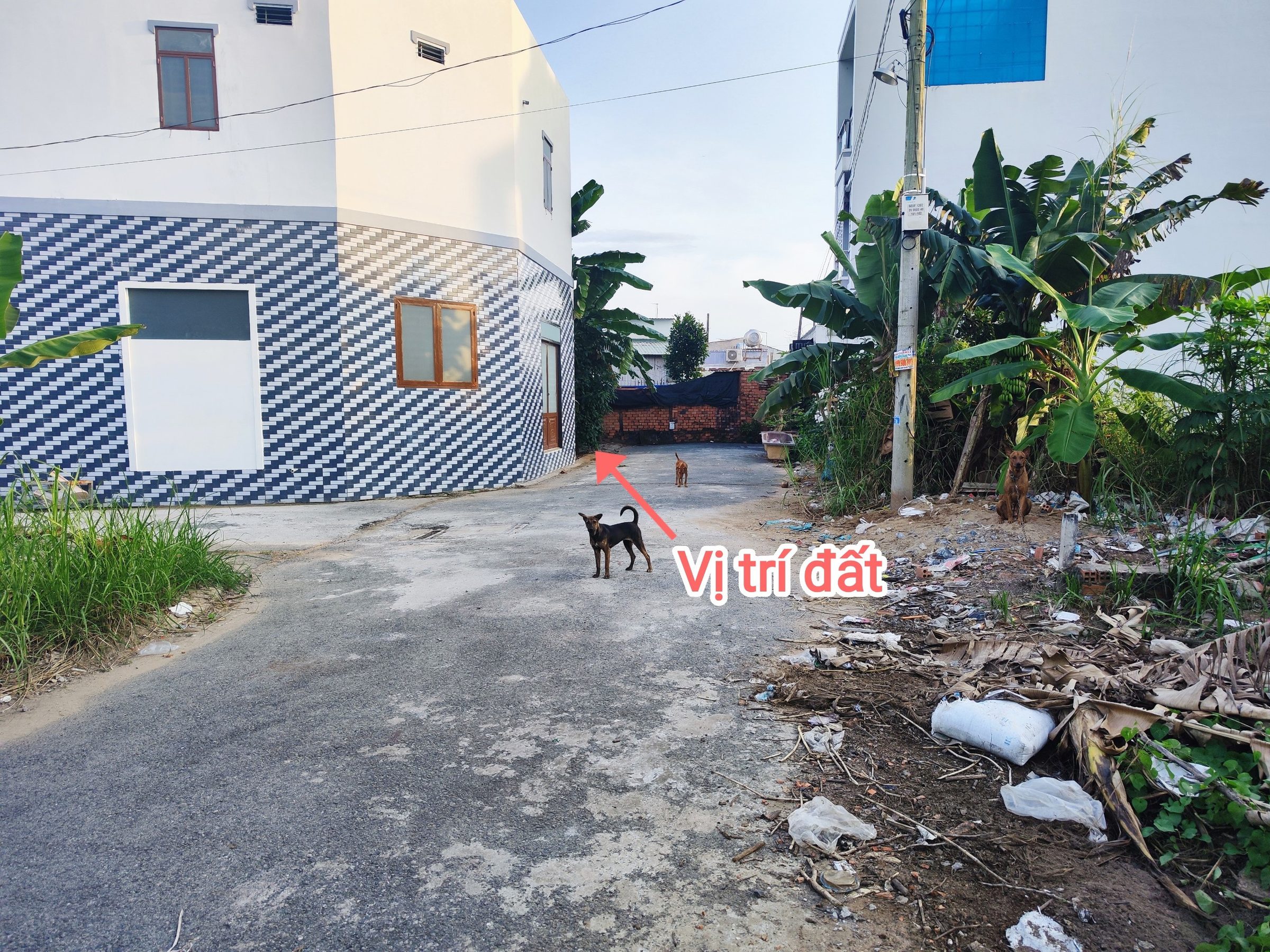 CẦN BÁN 124M2 ĐẤT THÔ CƯ HẺM 6M GẦN CHỢ ĐỆM