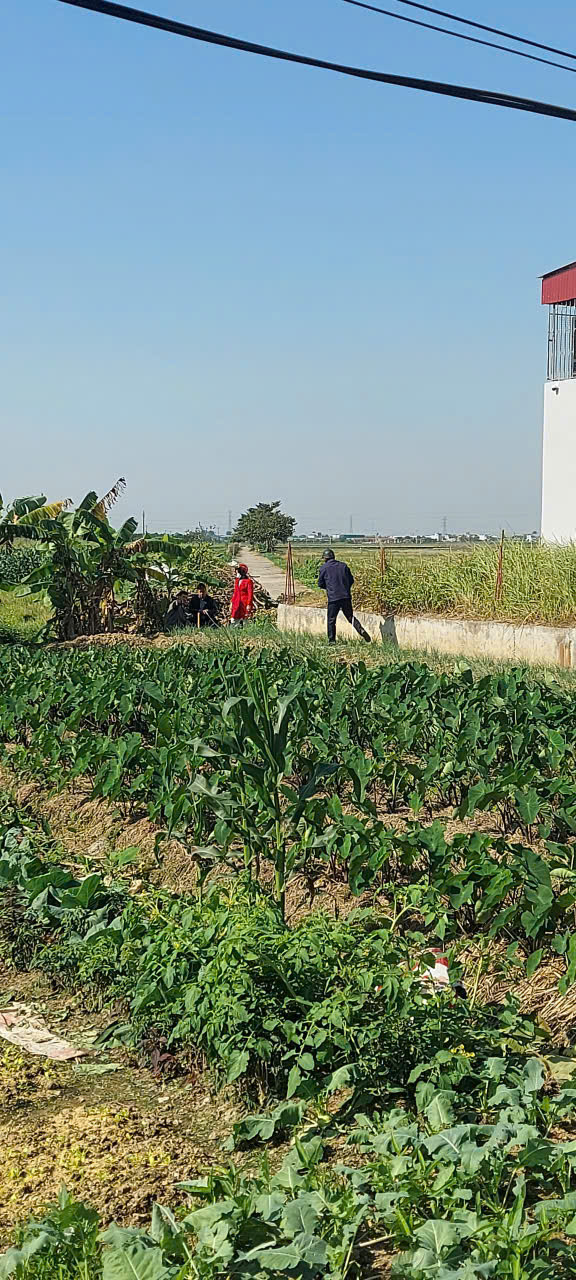 SIÊU HÓT - CHÍNH CHỦ BÁN LÔ ĐẤT ĐẸP – VUÔNG VẮN – HƯNG HÀ, THÁI BÌNH