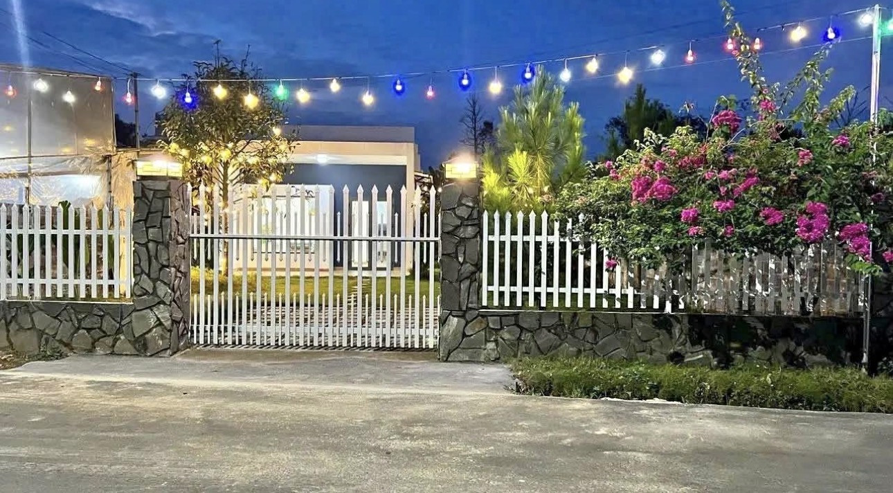 GIỮA SÀI GÒN NHỘN NHỊP, CÓ MỘT KHOẢNG XANH DÀNH RIÊNG CHO CHỦ NHÂN MỚI
