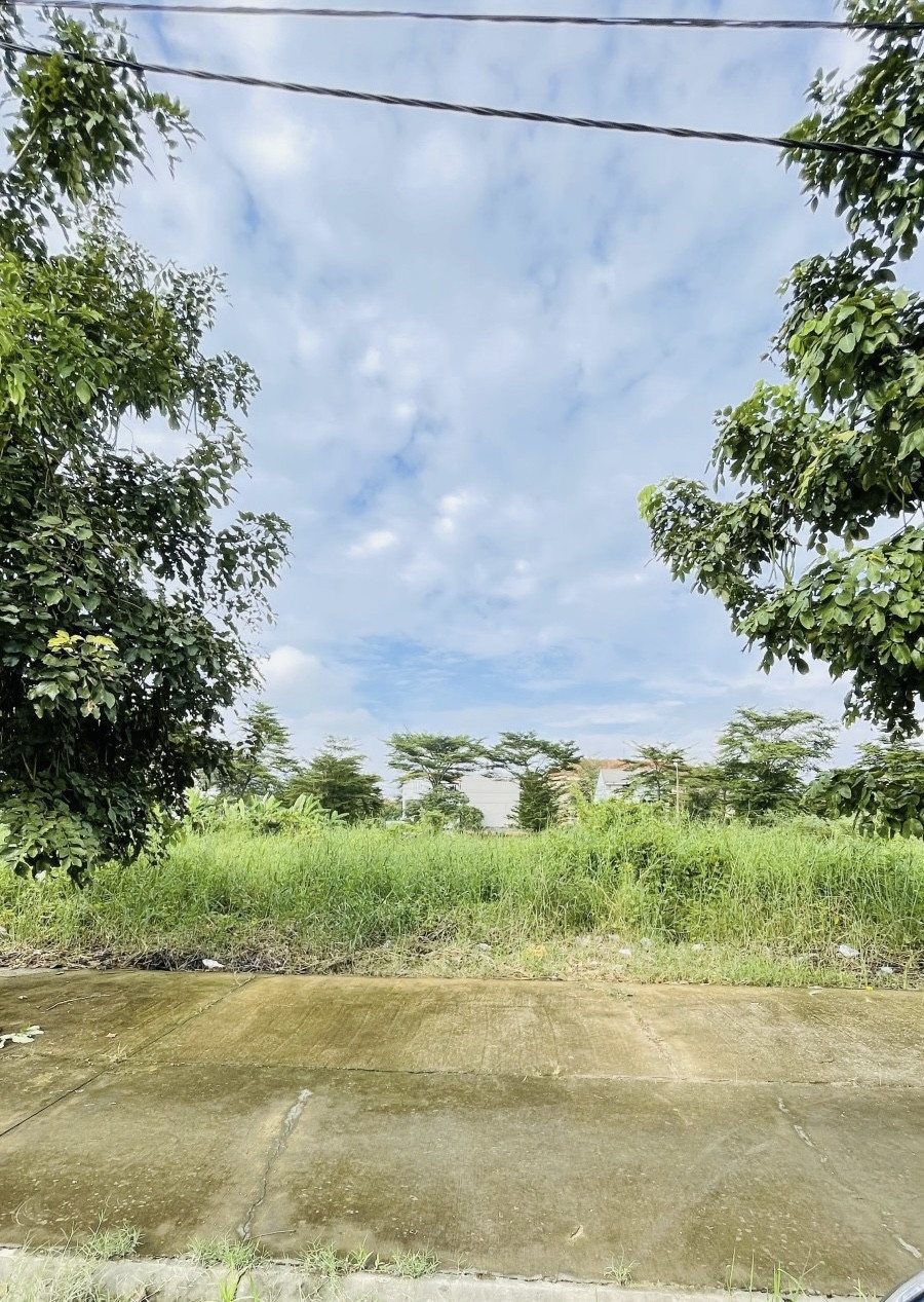 BÁN LÔ ĐẤT BIỆT THỰ VIEW SÔNG – KDC PHÚ LỢI – P7 – Q8 – GẦN TRƯỜNG ĐẠI HỌC KINH TẾ