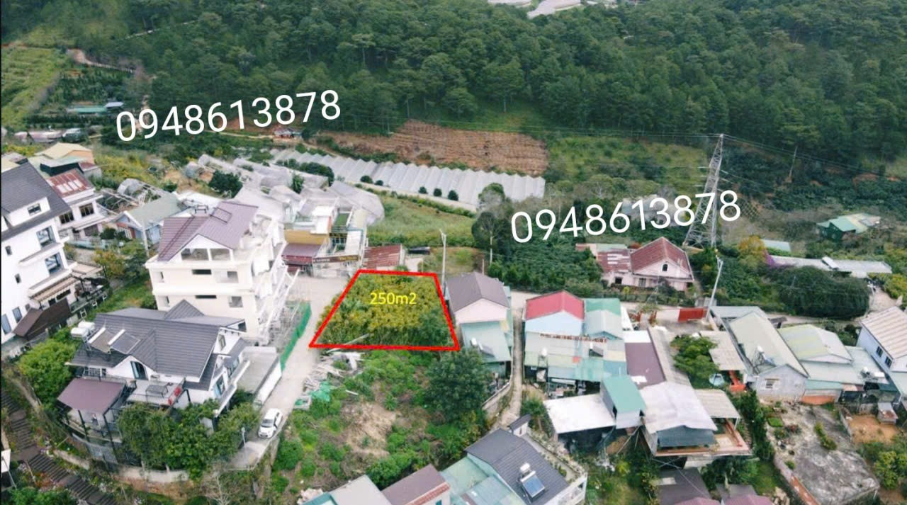 Lô đất view rừng thông Hoàng Hoa Thám Đà Lạt 🌲🌲250m gần Hồ Xuân Hương 3km