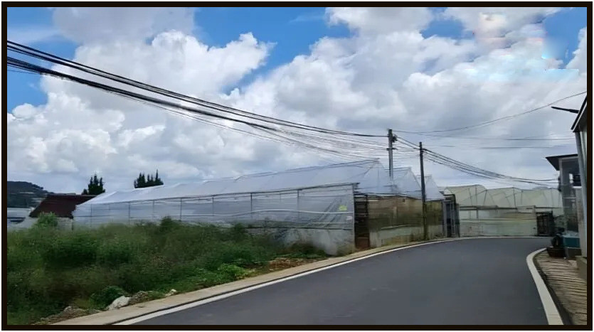 Top lô đất rẻ đẹp 10 x 13m làng hoa Thái Phiên Thành Phố Đà Lạt